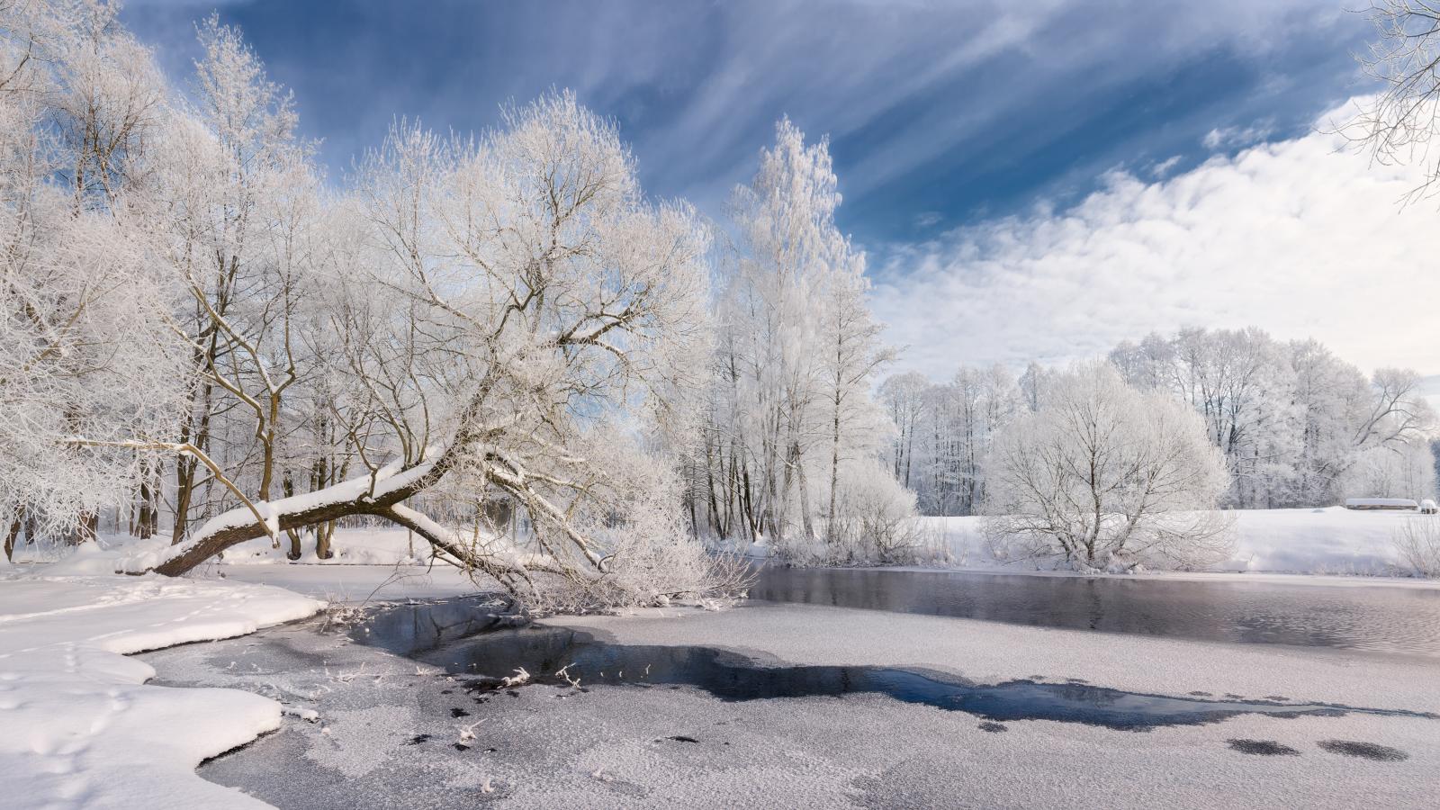 Nagy ajándék ez
a tél nekünk, óriási
a kontraszt a
tiszta, fehér hó
és a világ mocska
között, amit
végső soron mi,
emberek hozunk
létre magunk
körül