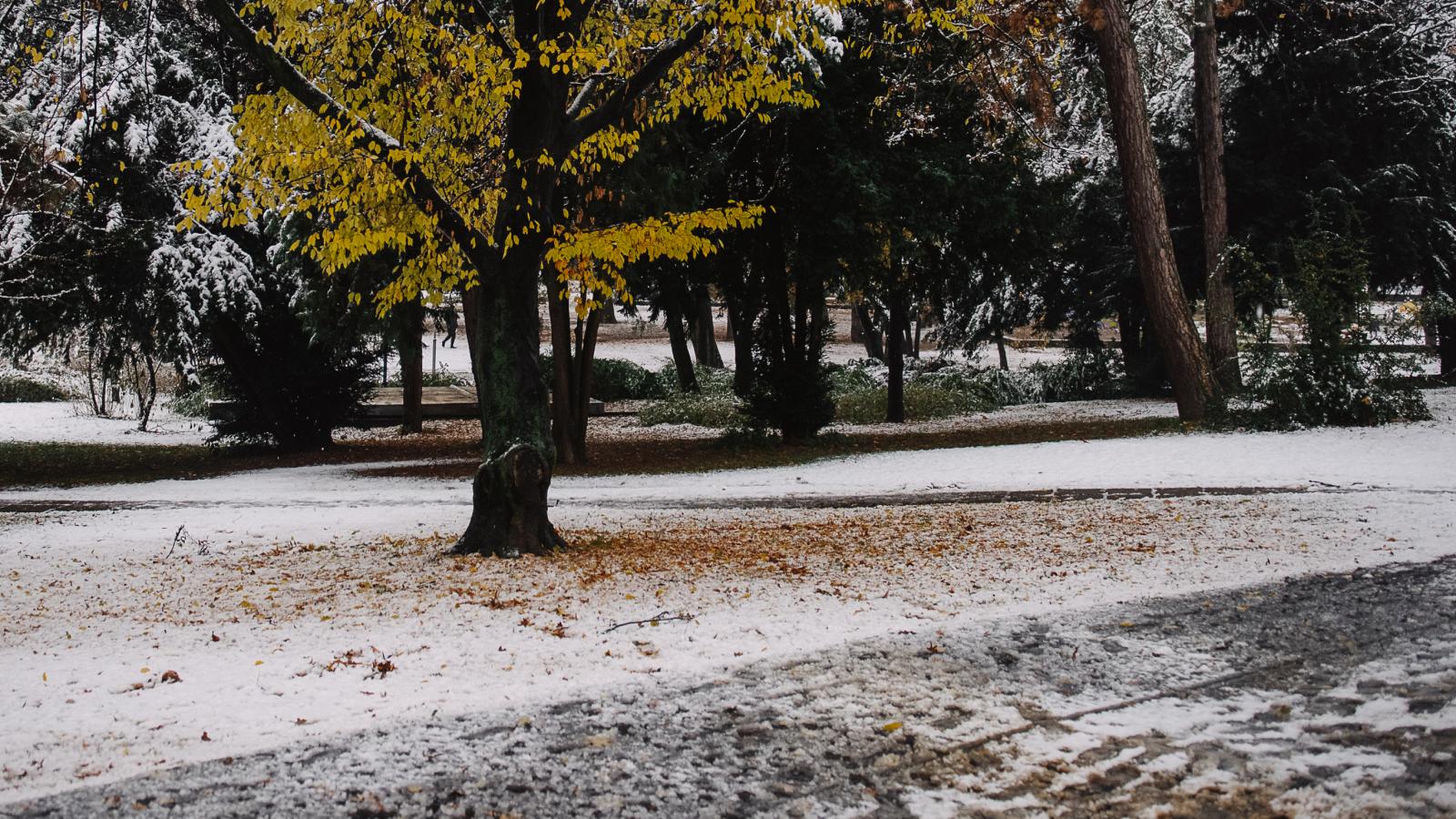 Képünk illusztráció 