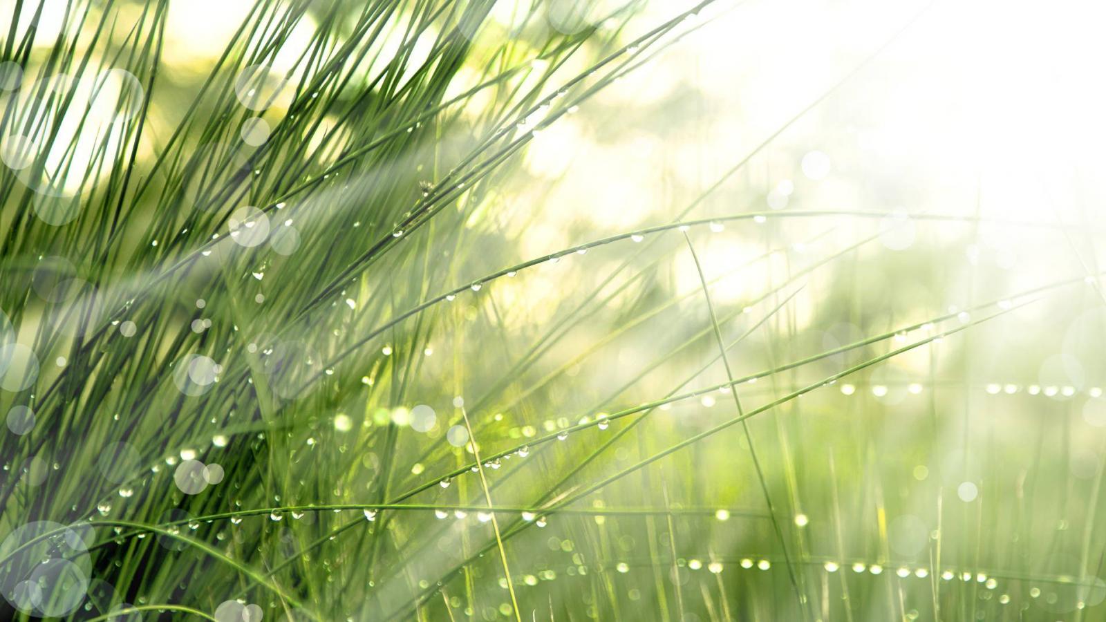 Képünk illusztráció
