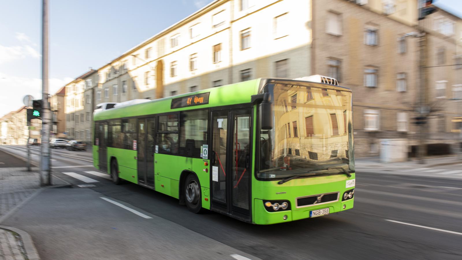 Pécs. Busz. Az újraélesített ügy szálai 2014 őszére nyúlnak vissza