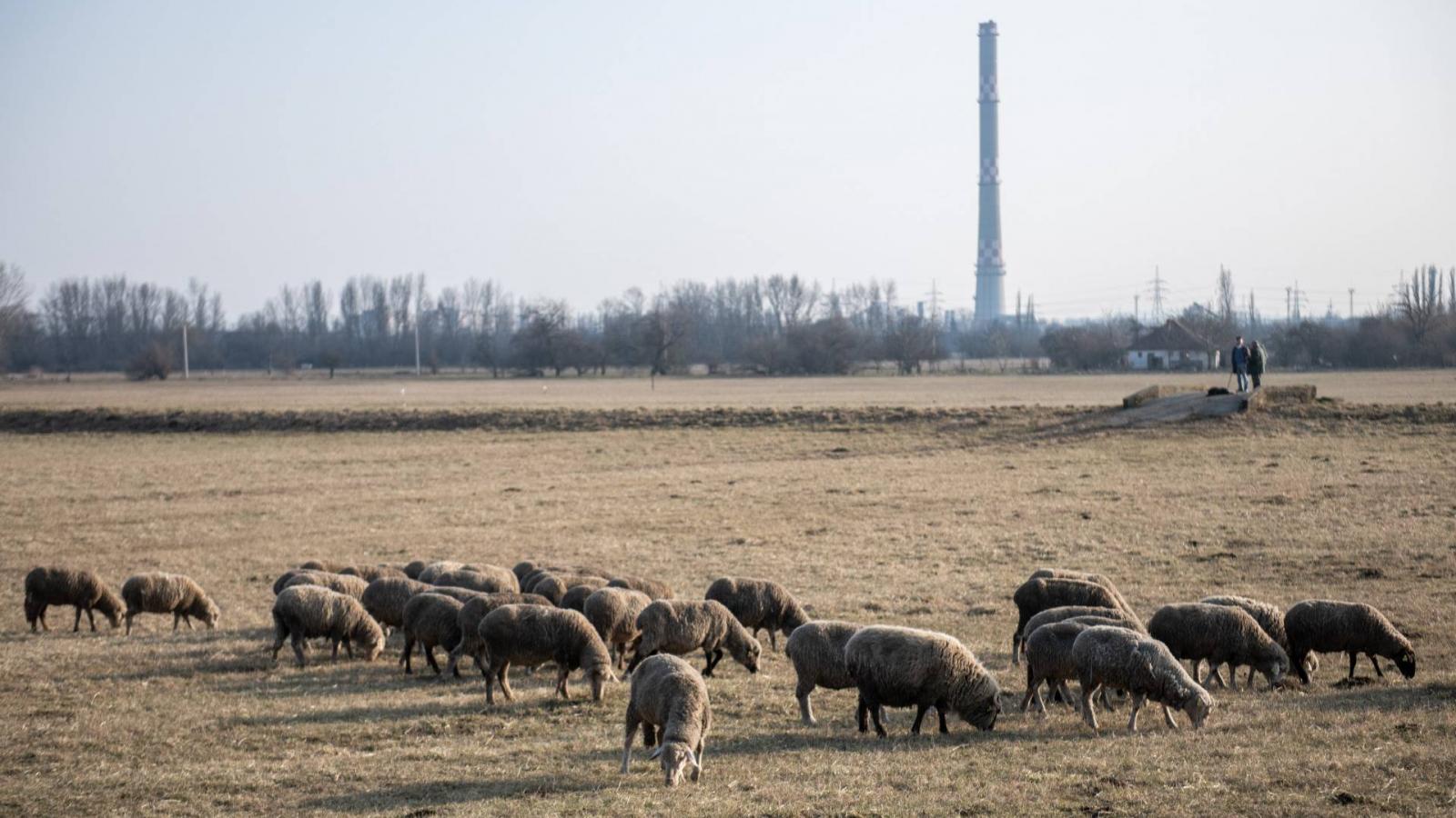 Képünk illusztráció, Mocsárosdűlő természetvédelmi területe 2021 februárjában
