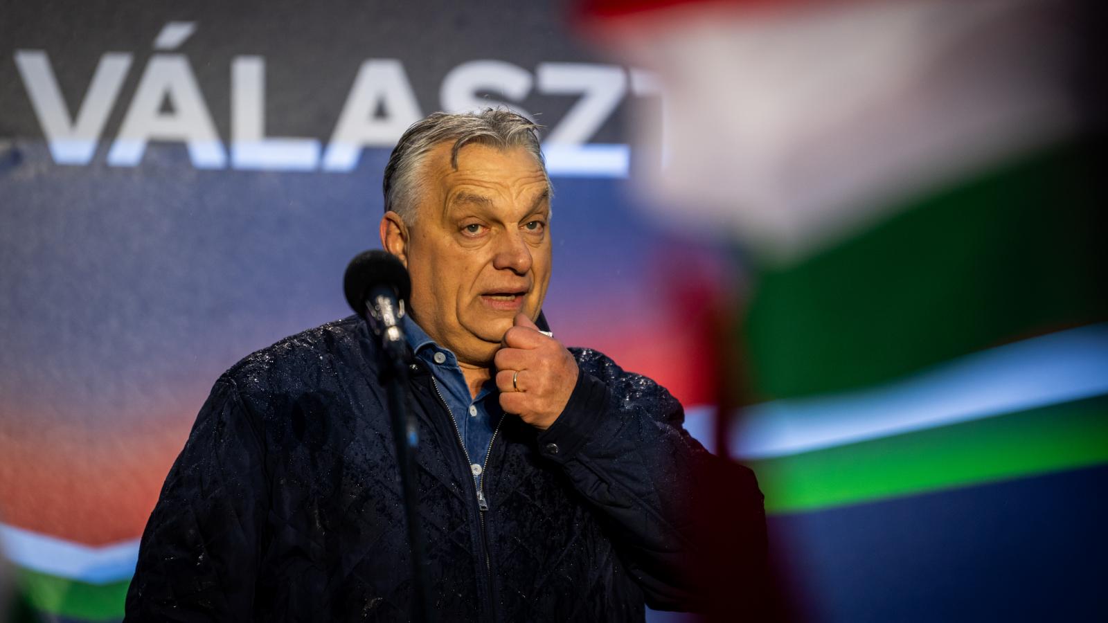 Korábbi felvétel