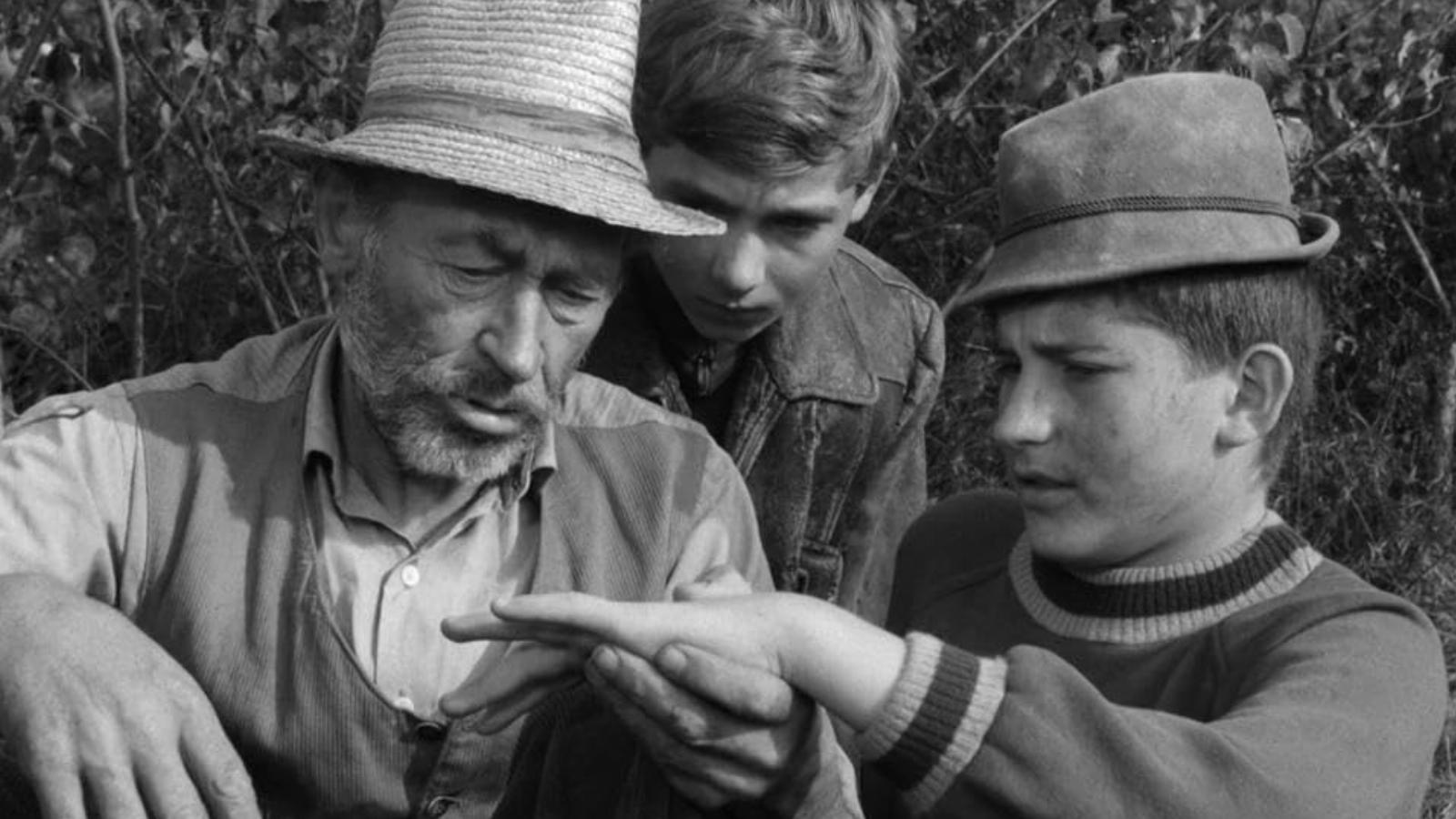 Egyre gyakrabban kaphatjuk magunkat azon, hogy műsort keresve az M1-re is kíváncsian kattintunk, milyen csemegét ismételnek éppen (Matula bácsi, Bütyök és Tutajos a Tüskevárban)