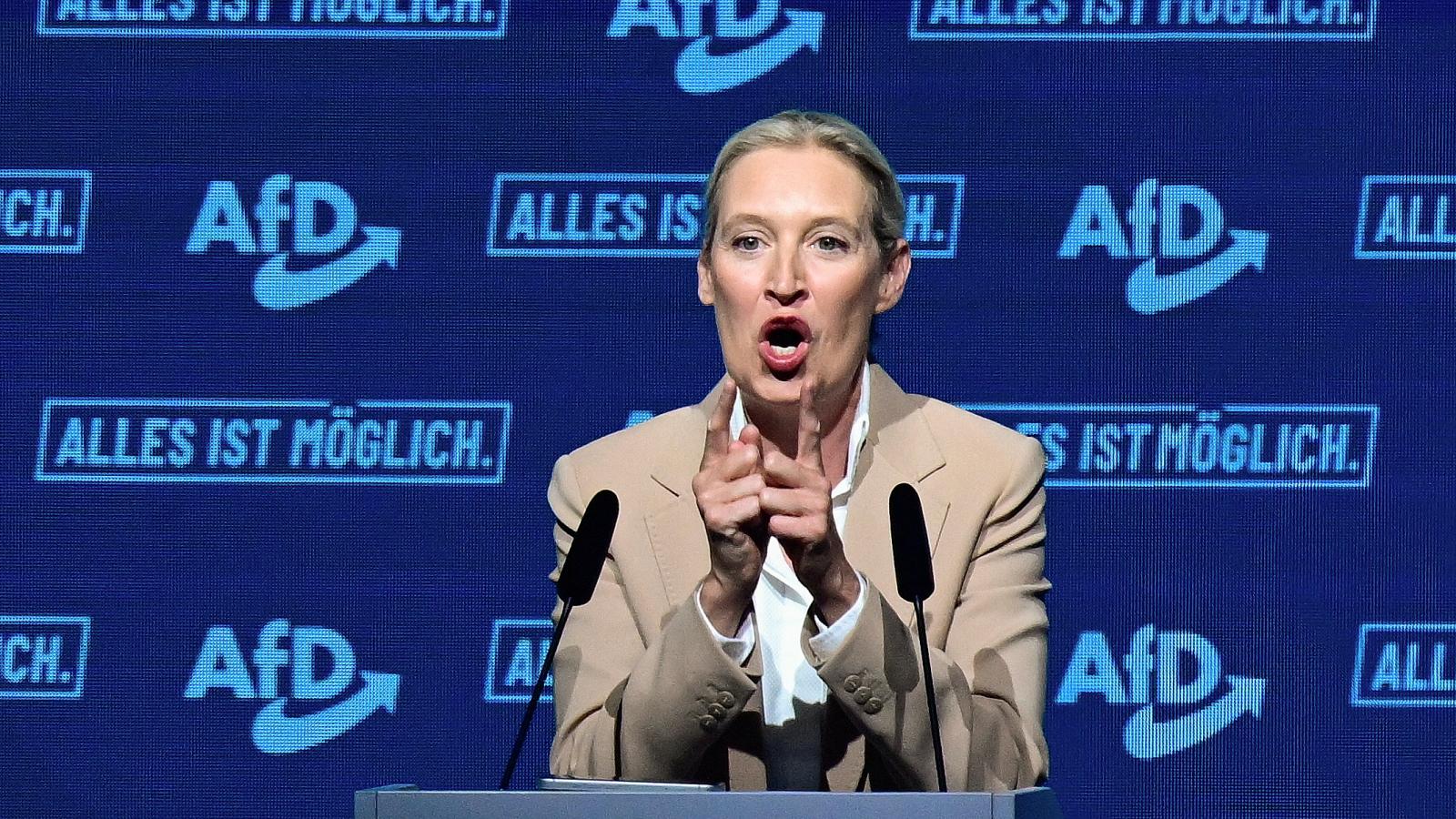 Alice Weidel társelnöknek eddig sem volt könnyű közös nevezőre hozni a pártot bizonyos kérdésekben, bár ez a belső feszültség eddig nem ártott az AfD népszerűségének