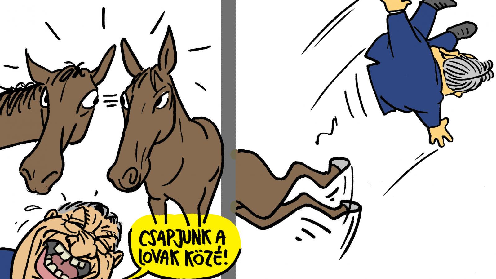 Pápai Gábor karikatúrája