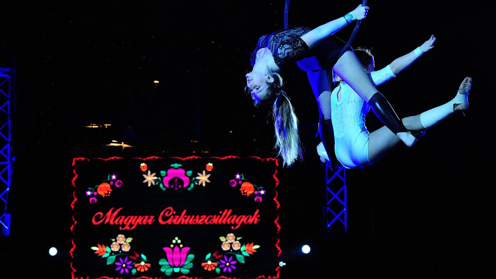 FOTÓ: Pálfalvi Kitti