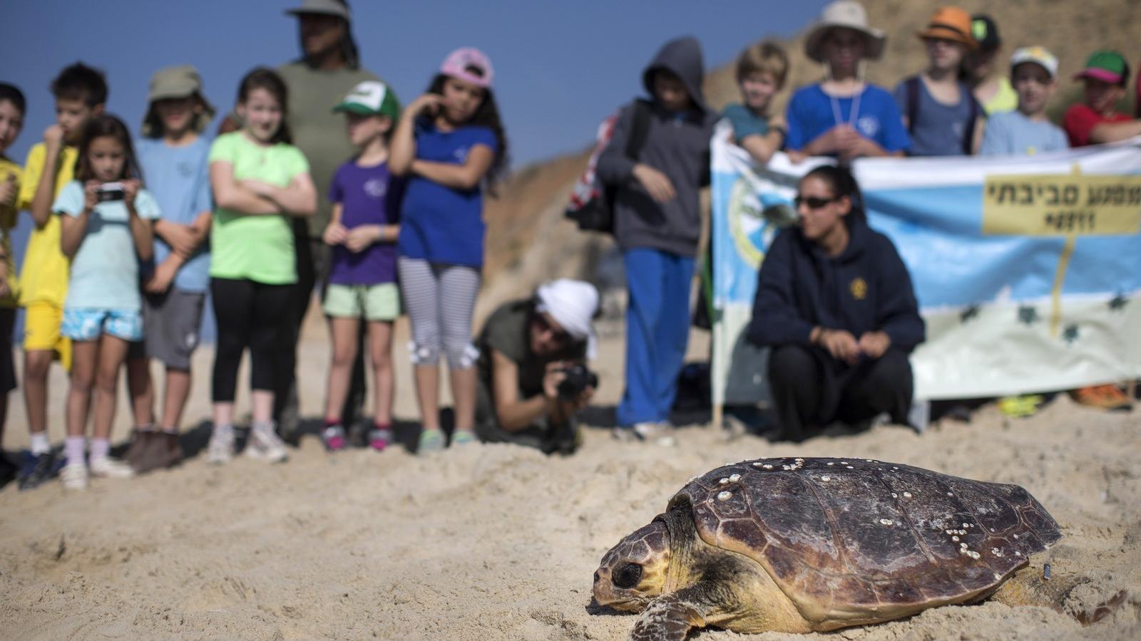 Illusztráció/Getty Images