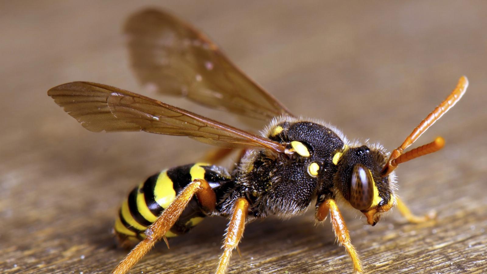 Illusztráció. Fotó: Thinkstock