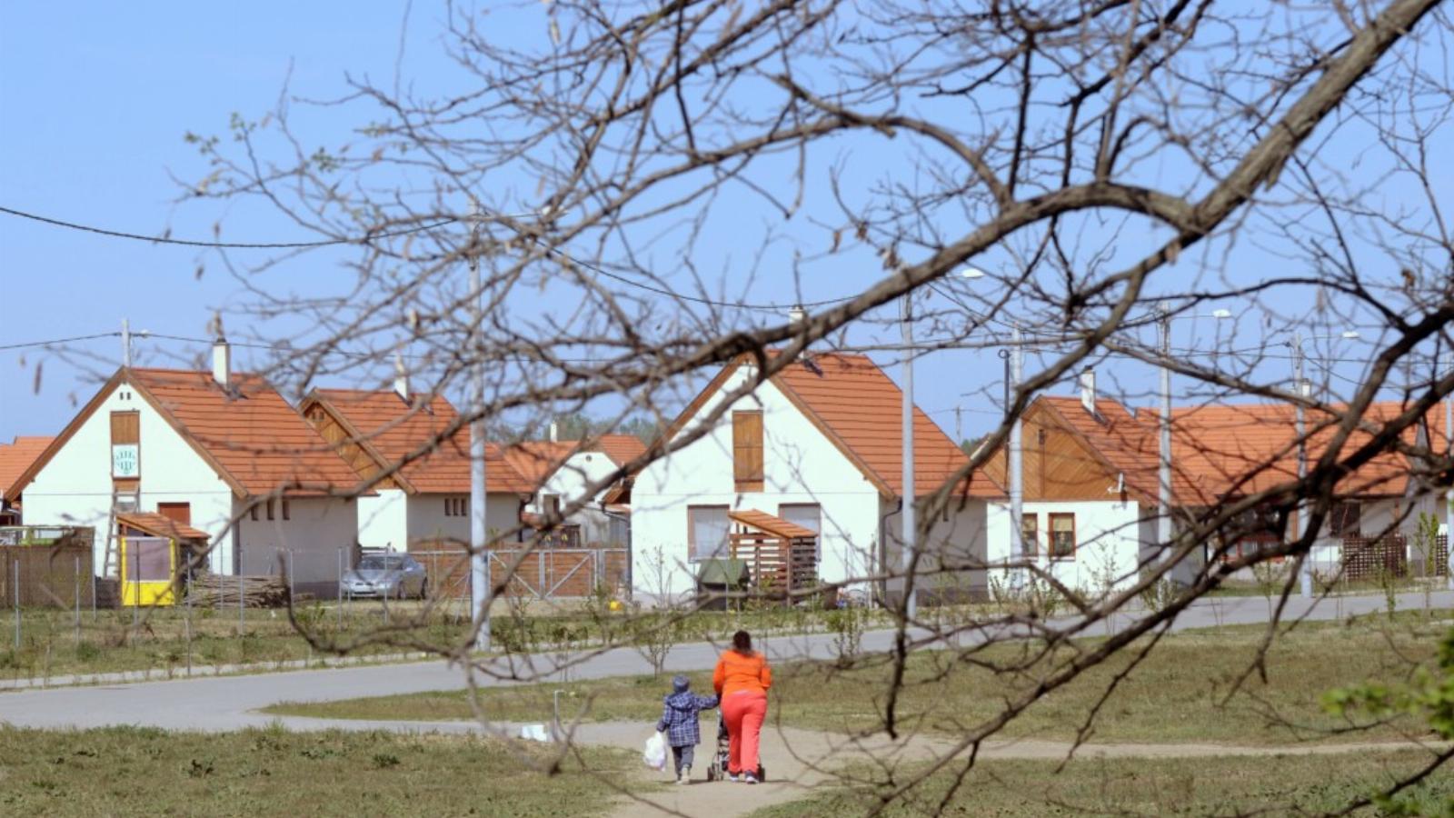 A buszmegállótól a telepig árkon-bokron – esős időben sárban – vezet a földút FOTÓ: VAJDA JÓZSEF