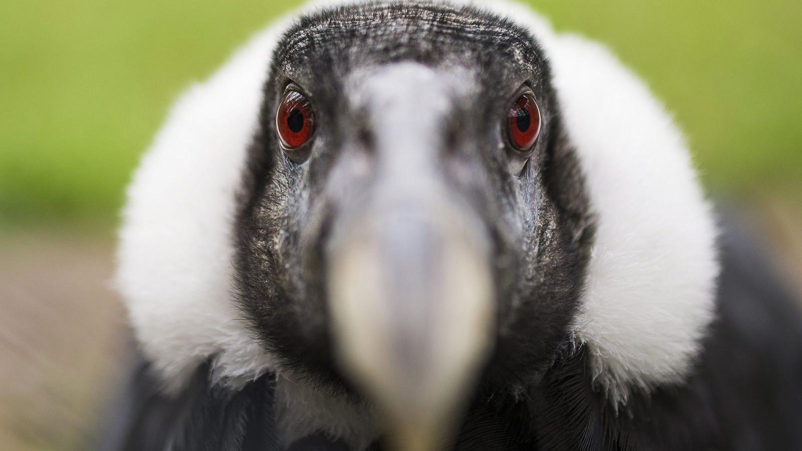 MTI Fotó: Balázs Attila