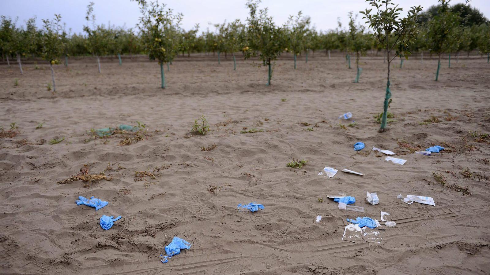 Egyre nő a feszültség a szerb–magyar határon – az Orbán-kormány önigazolást merít az agresszióból FOTÓ: MTI/MOLNÁR EDVÁRD