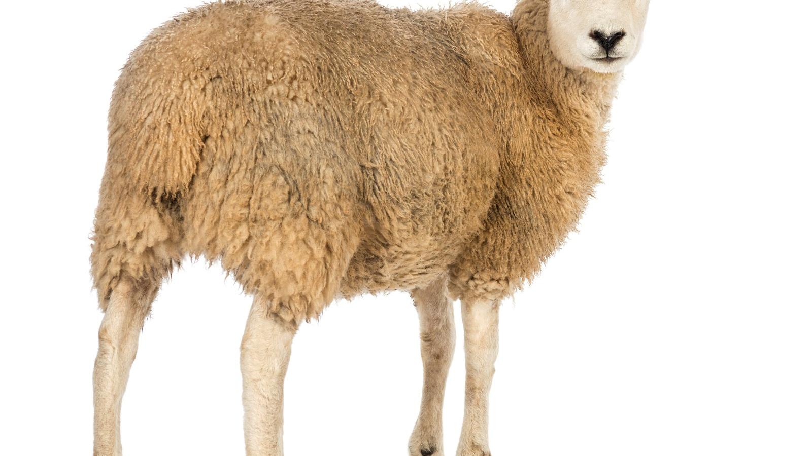 Vajon ezen a fertályon kell keresgélni? Illusztráció/Thinkstock