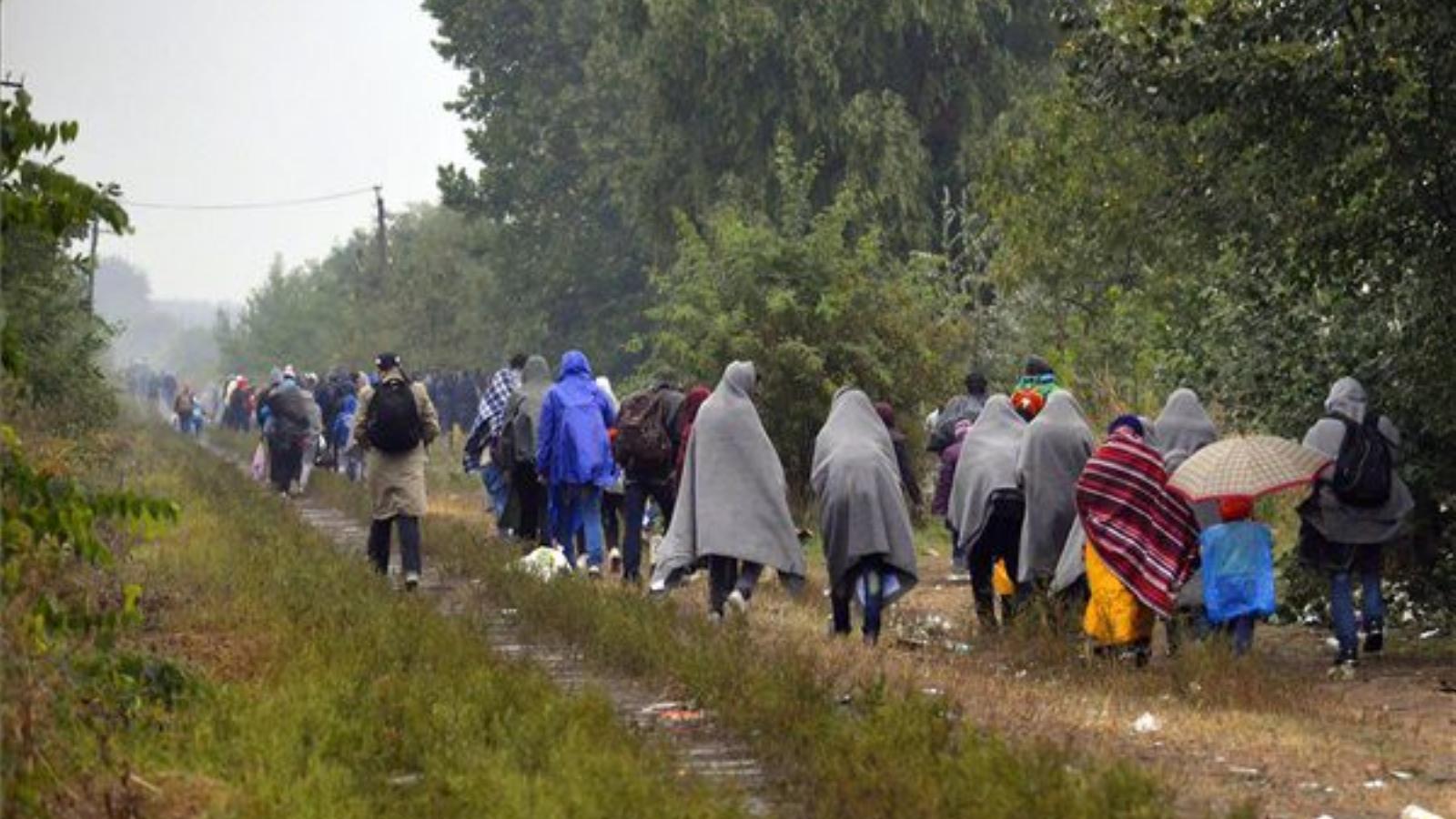 Menekülők Horgos határában. MTI FOTÓ: Molnár Edvárd