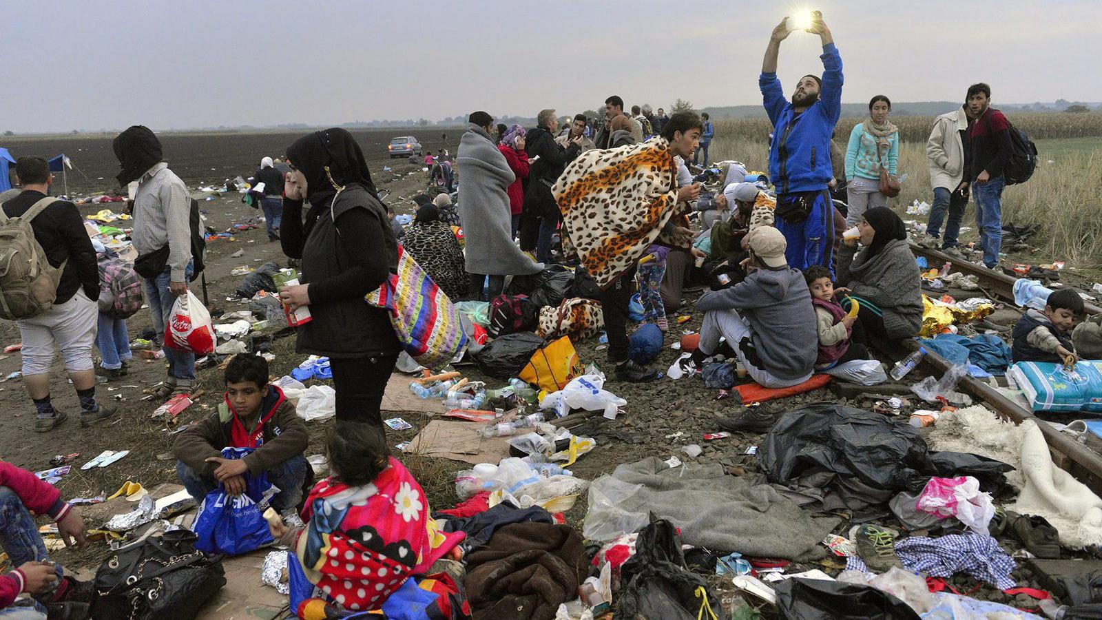  Migránsok a magyar-szerb határ közelében. MTI Fotó: Molnár Edvárd