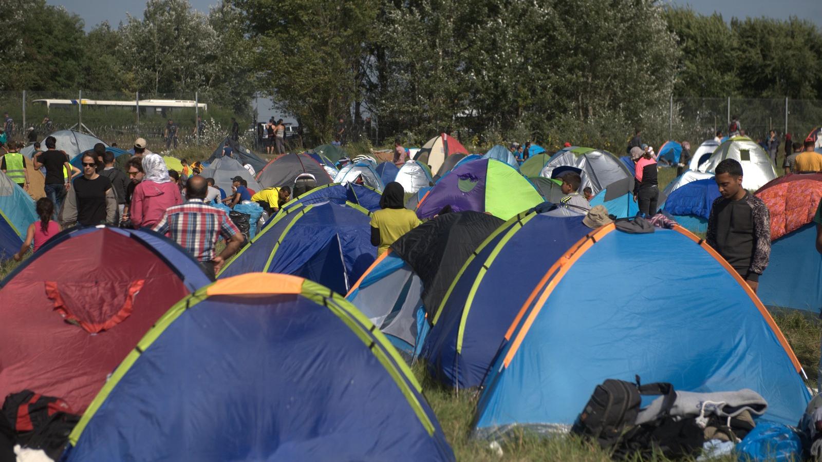 Sátrat vert menekültek a lezárt magyar határ túloldalán, a szerbiai Horgosnál FOTÓ: TÓTH GERGŐ