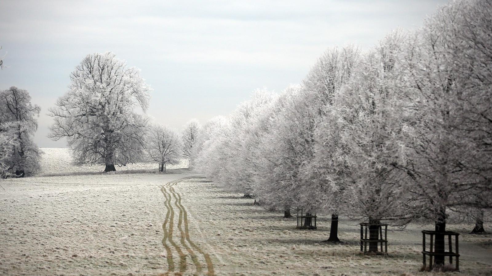 Fotó: Matt Cardy/Getty Images