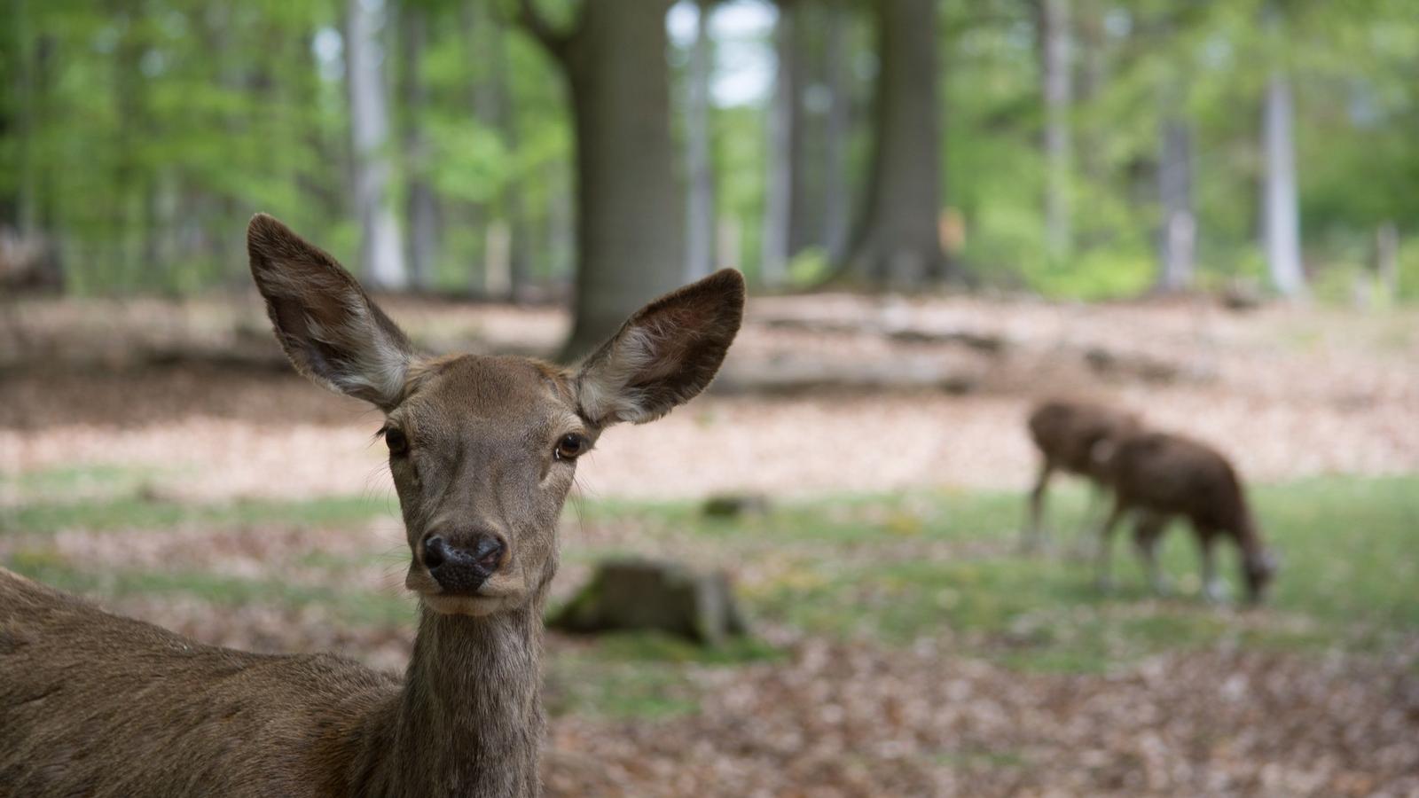 A kép illusztráció! FOTÓ: Thinkstock