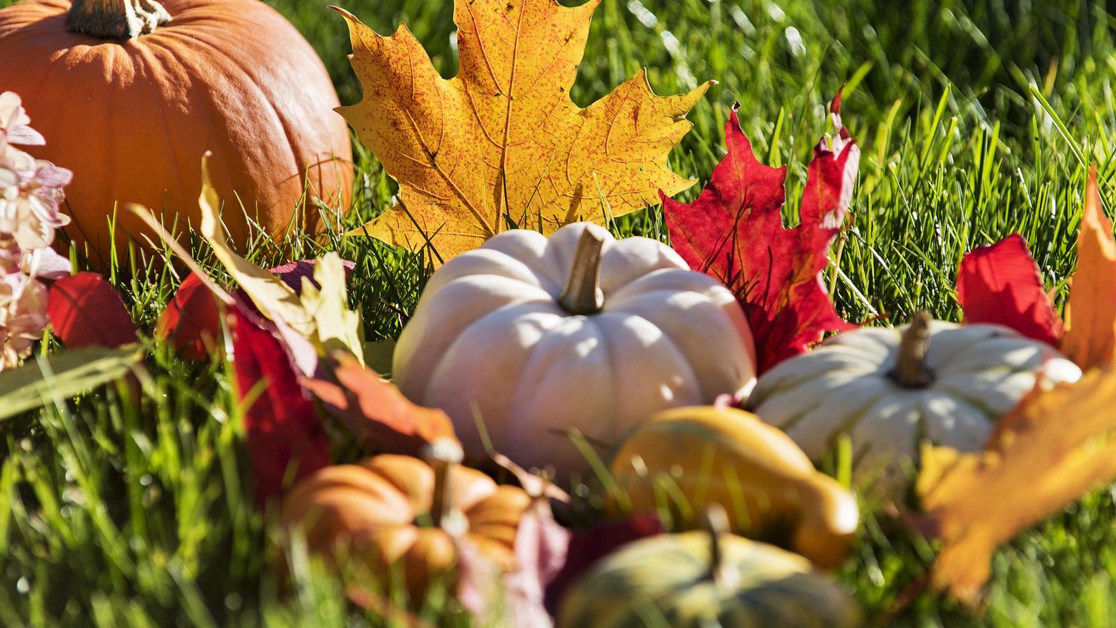 Illusztráció/Thinkstock