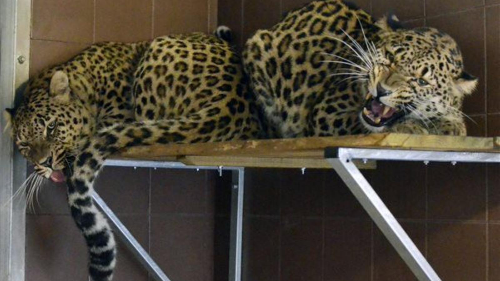 Fotó: Mészáros Tamás MTI