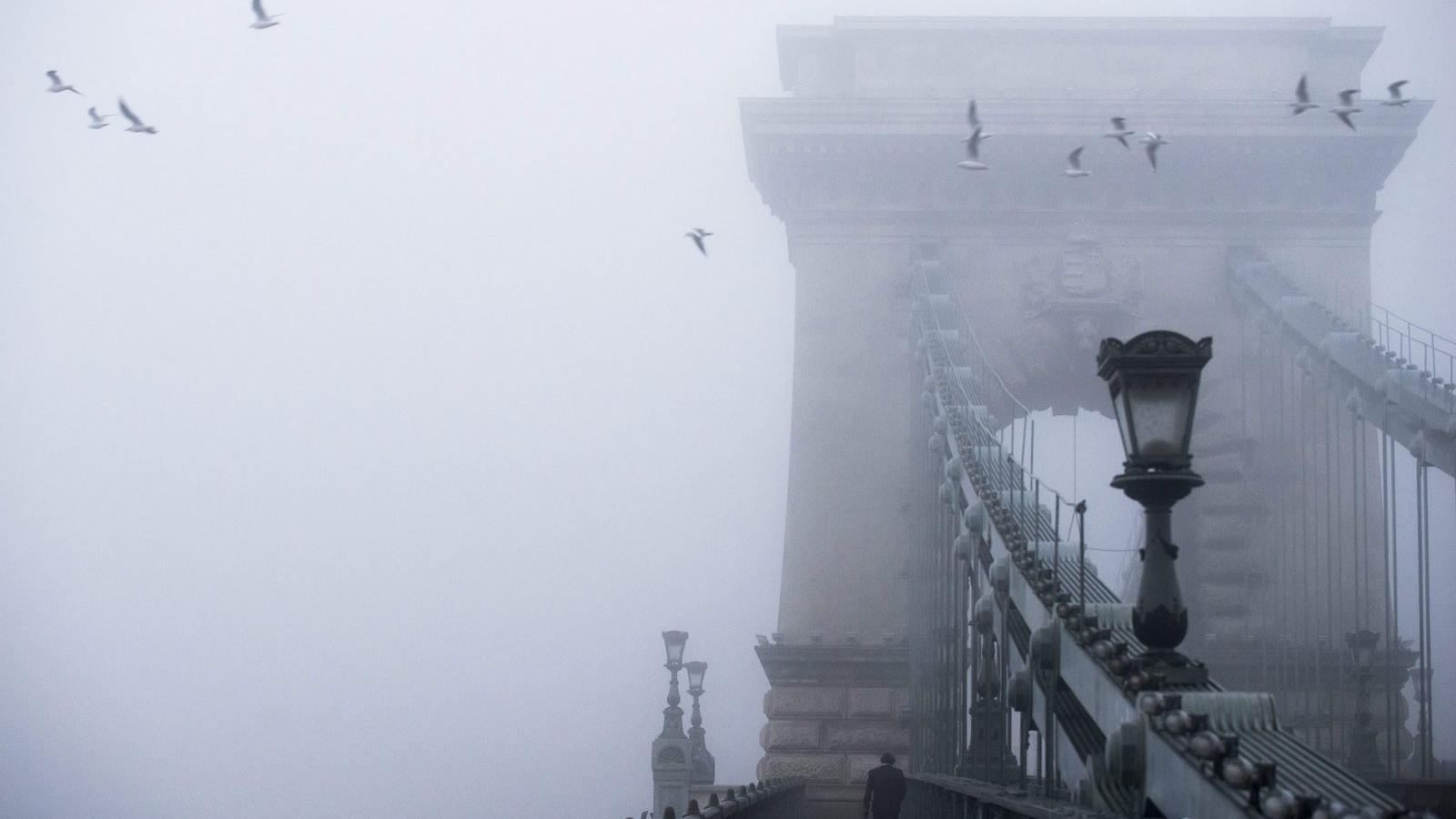 MTI Fotó: Balogh Zoltán