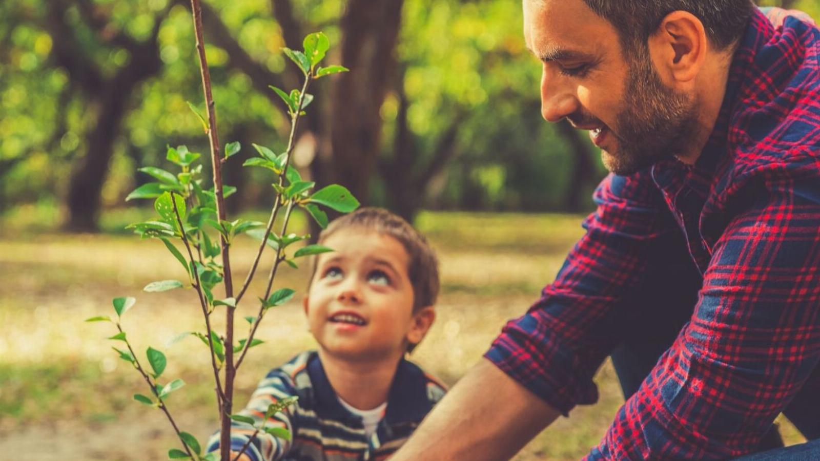 A faültetést nem lehet elég korán kezdeni FOTÓ: EP/THINKSTOCK