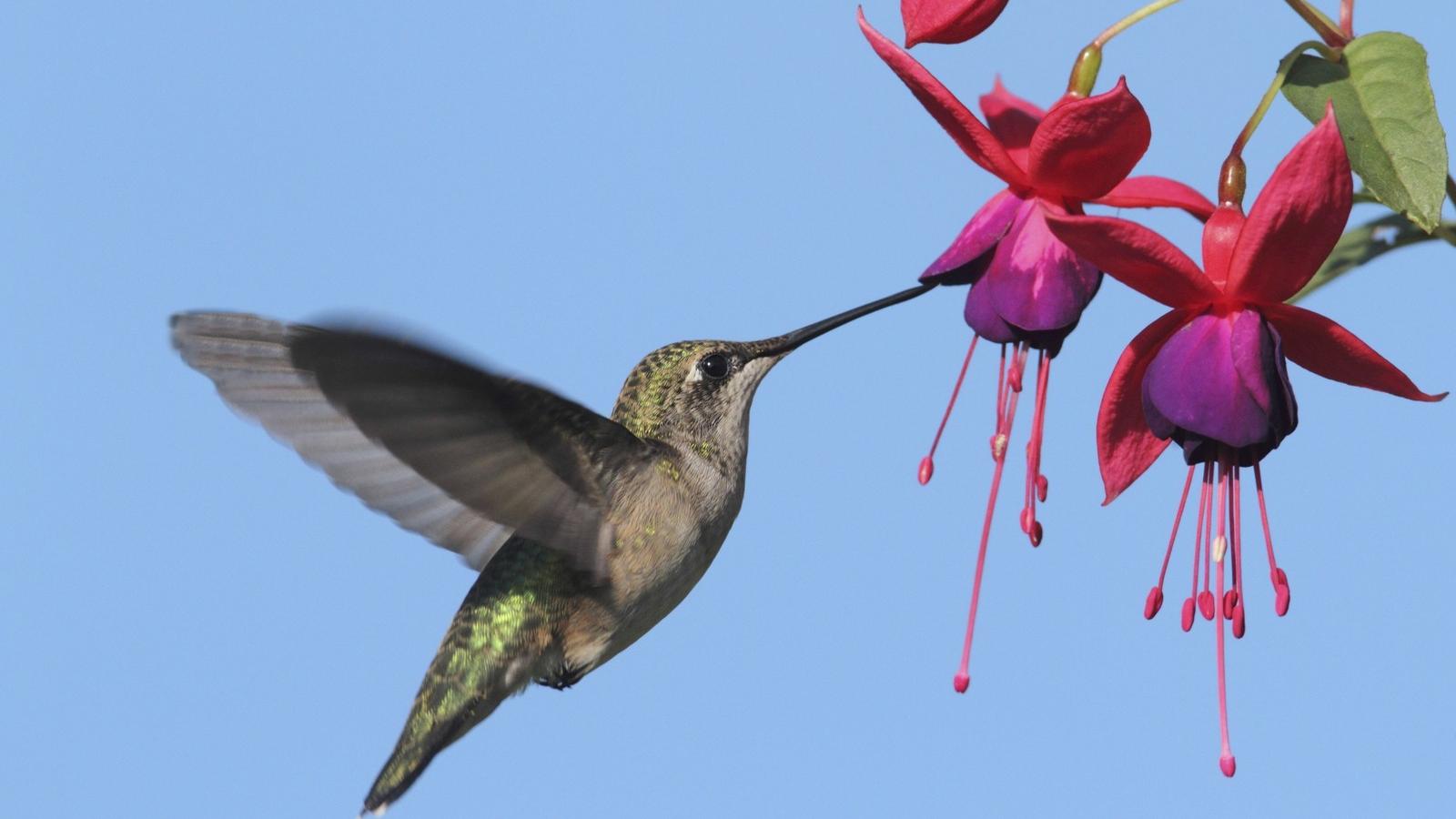 Illusztráció: Thinkstock