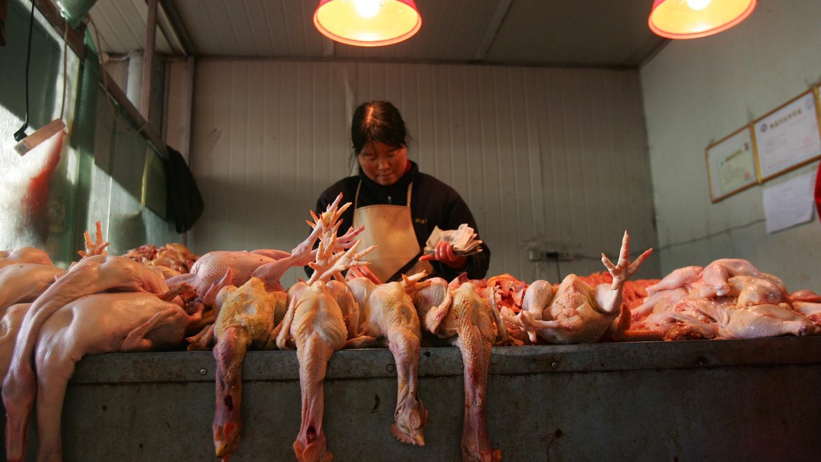 Az érintetteknek kivétel nélkül volt kapcsolata szárnyasokkal. Fotó: China Photos/Getty Images