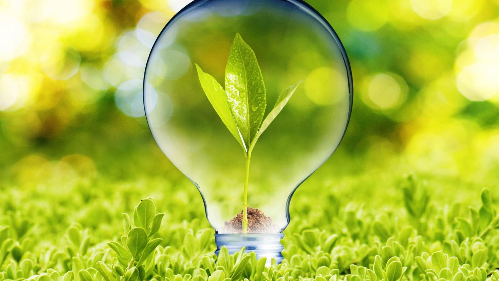 Illusztráció: Thinkstock