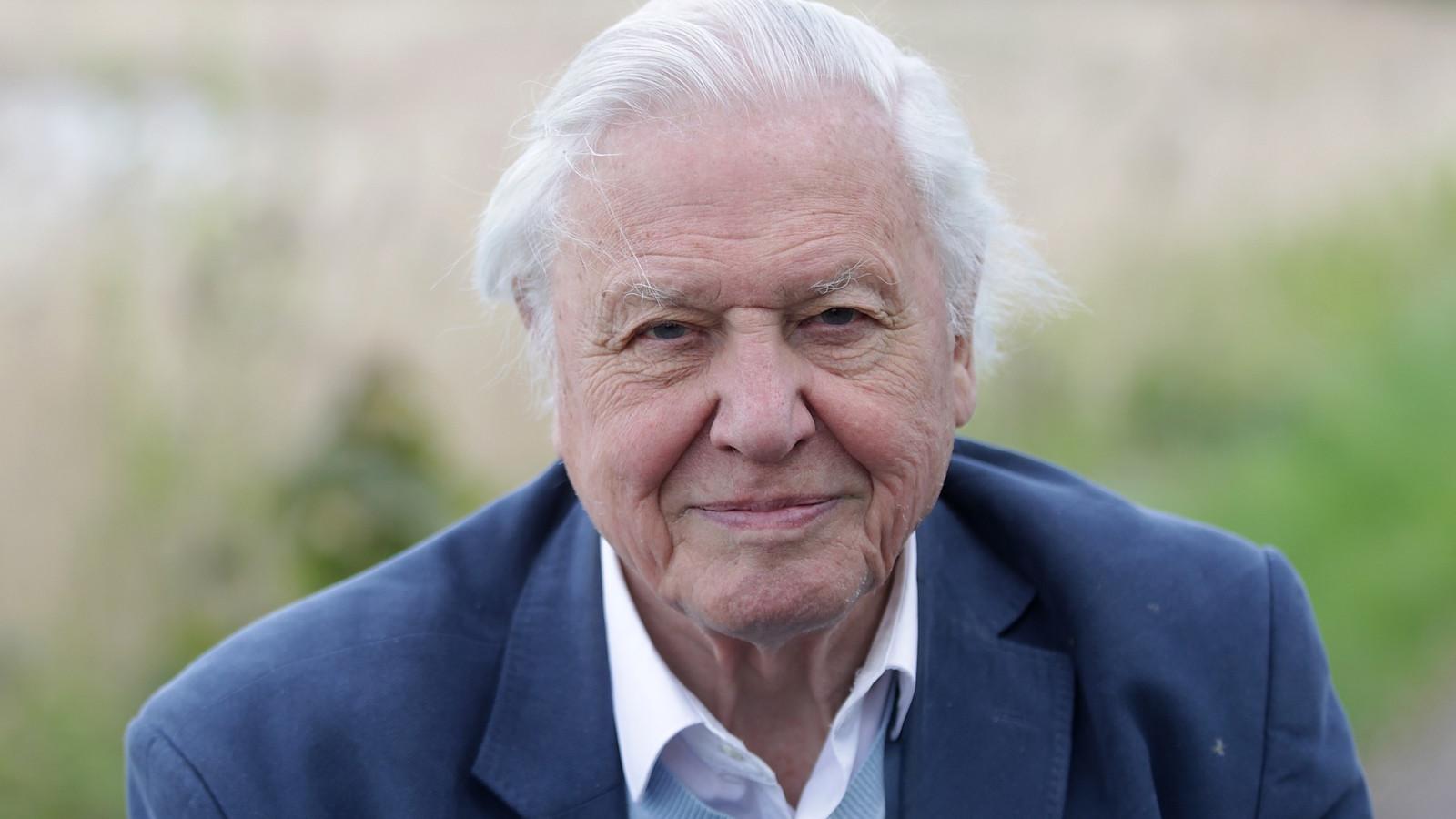 Sir David Attenborough/Fotó: Danny Martindale/Getty Images
