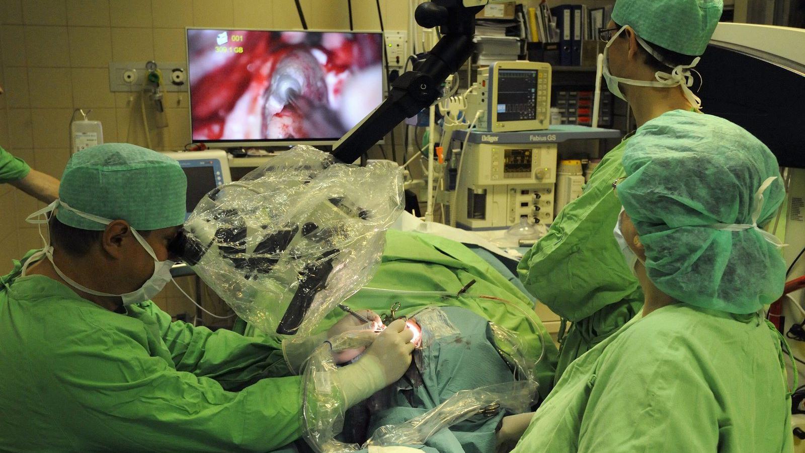 MTI Fotó: Kelemen Zoltán Gergely
