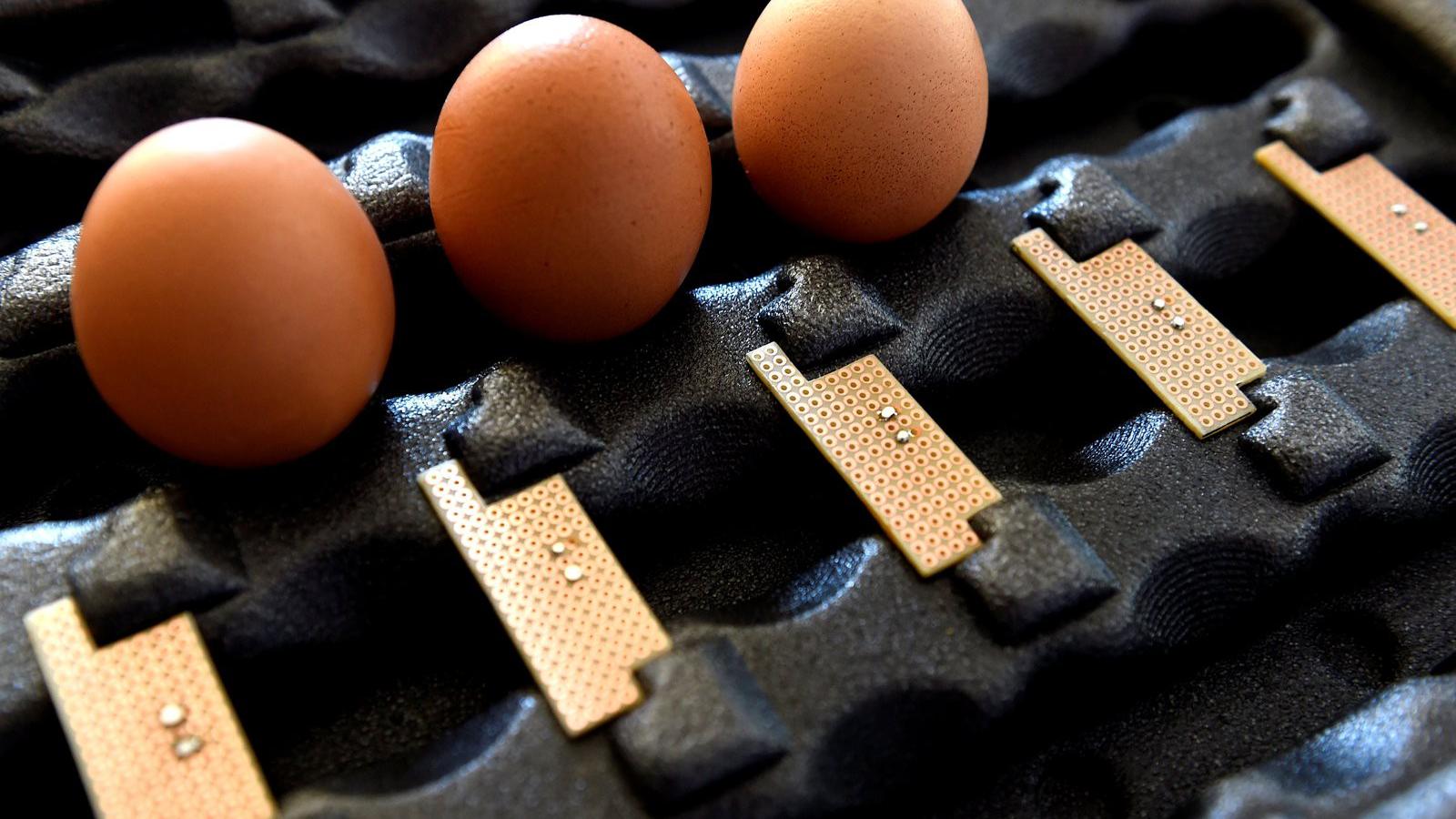 Fotó: MTI/Bruzák Noémi