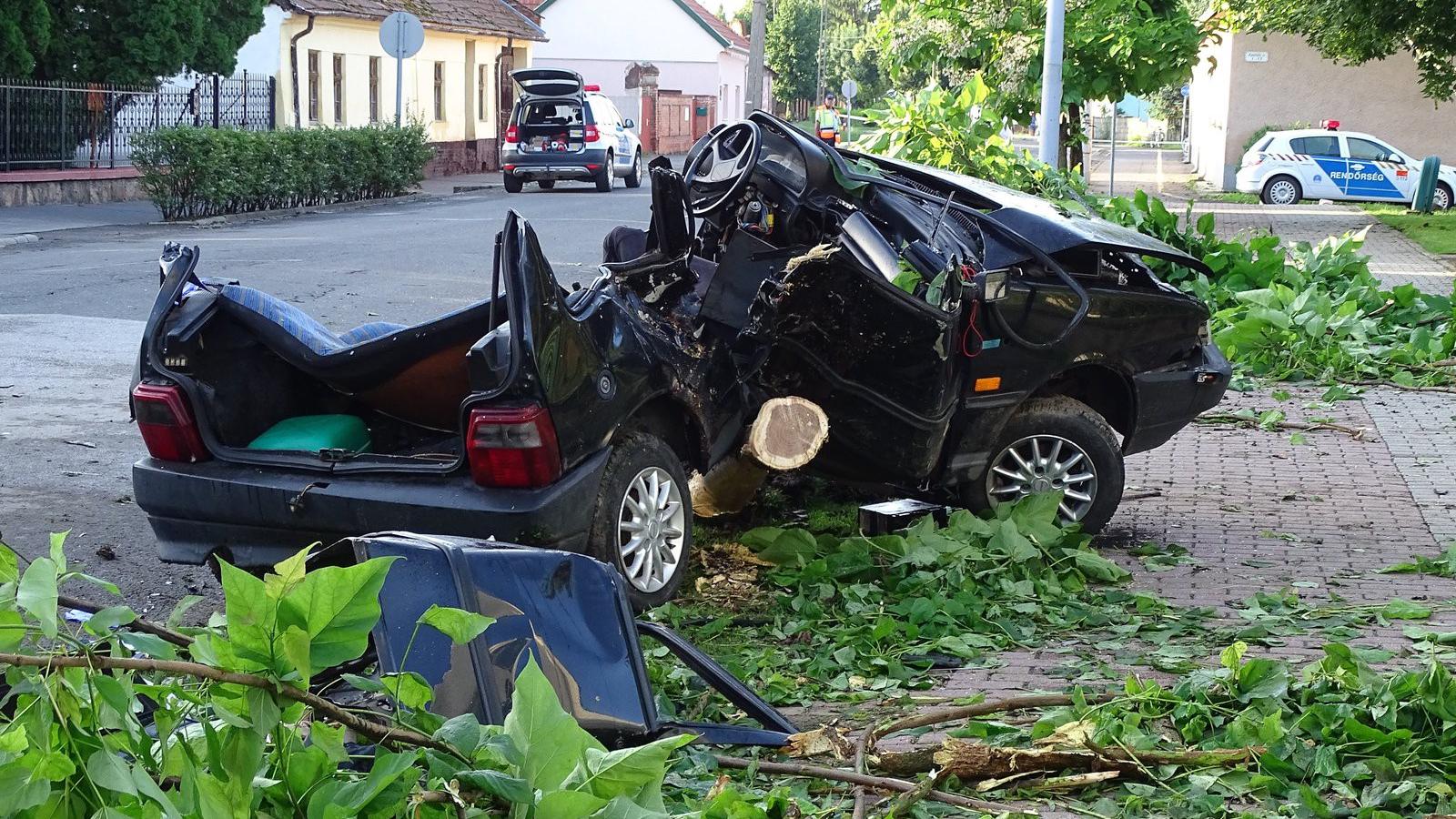  MTI Fotó: Donka Ferenc