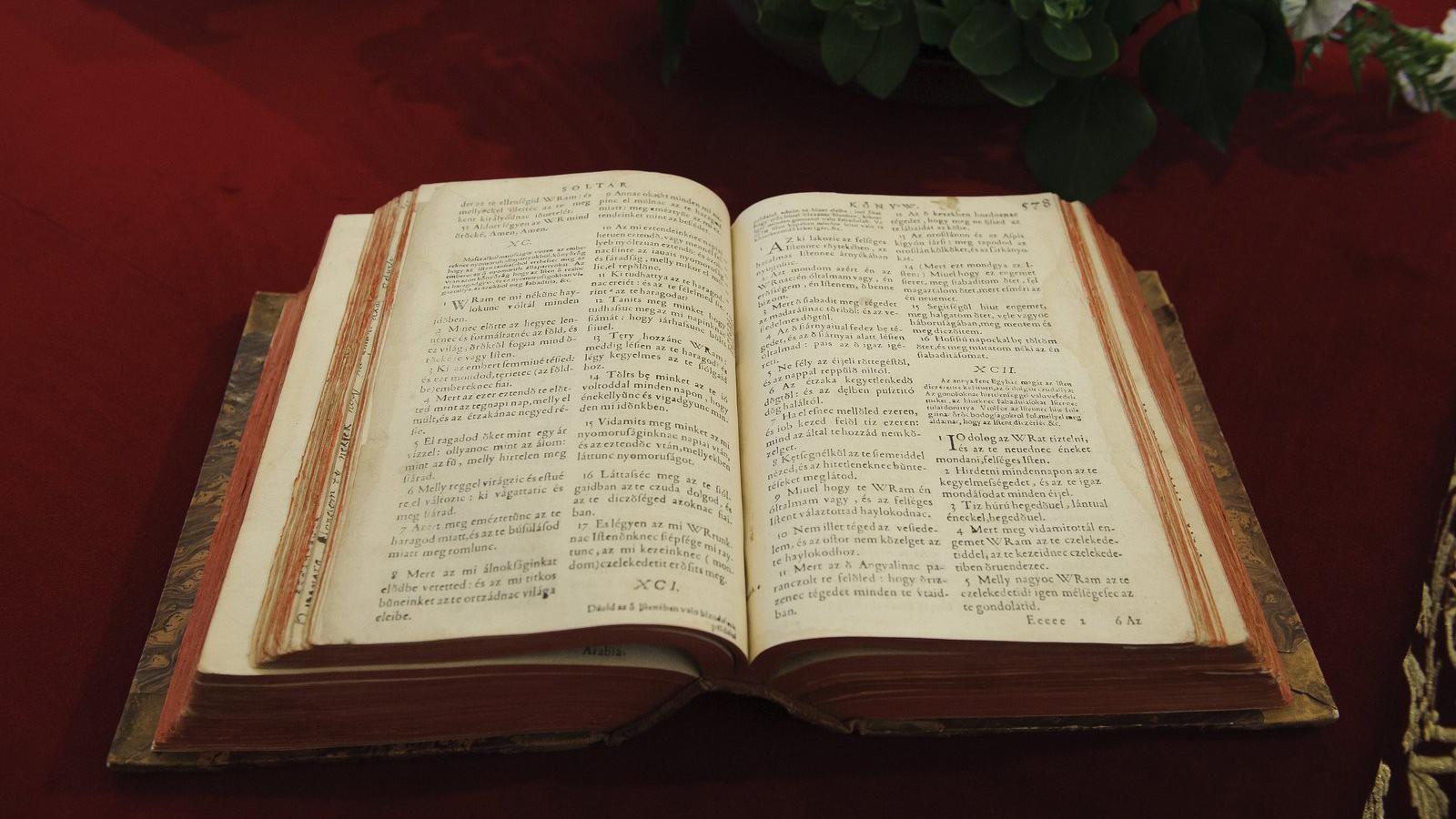 MTI Fotó: Czeglédi Zsolt