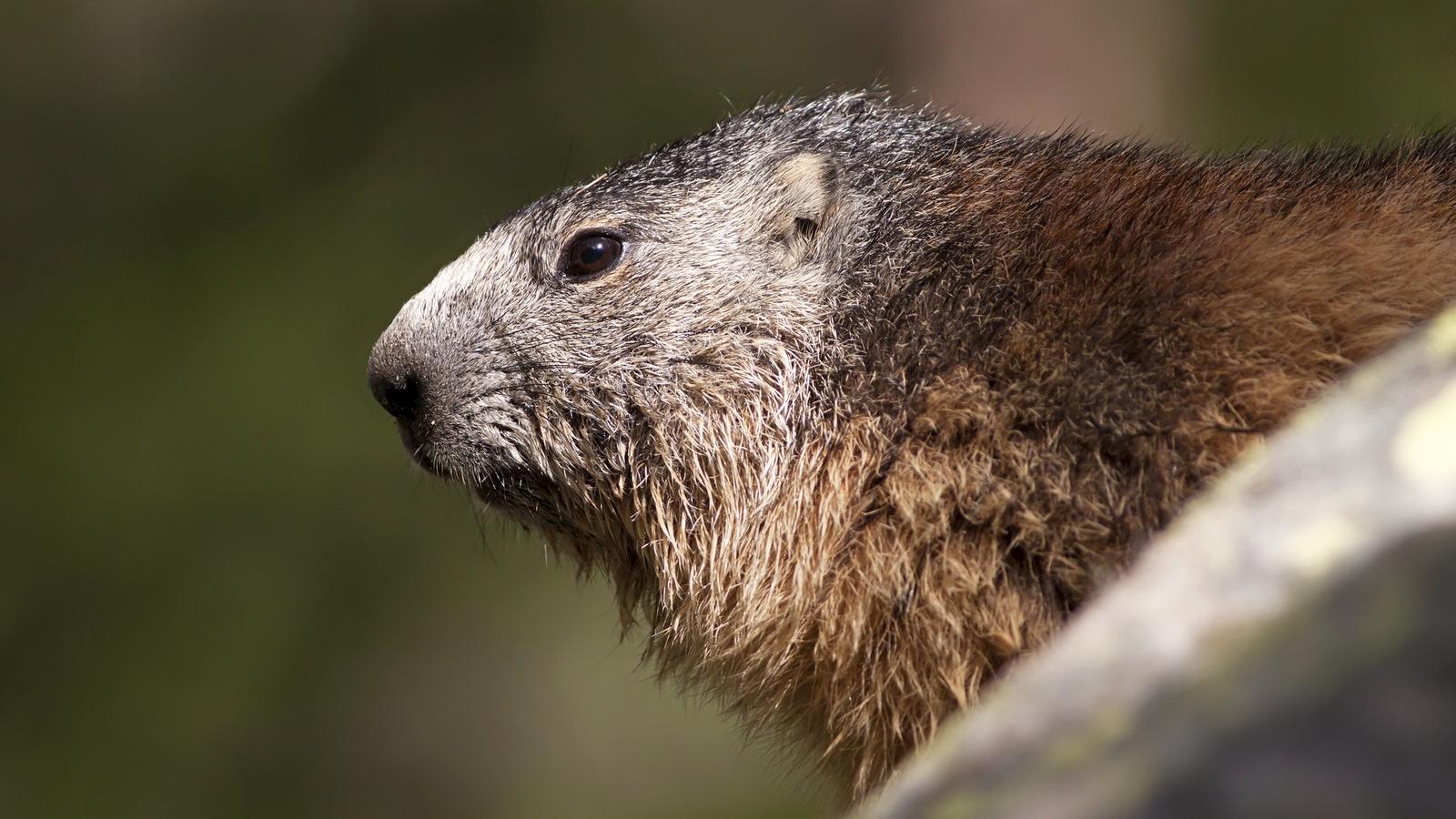 A kép illusztráció! FOTÓ: Thinkstock