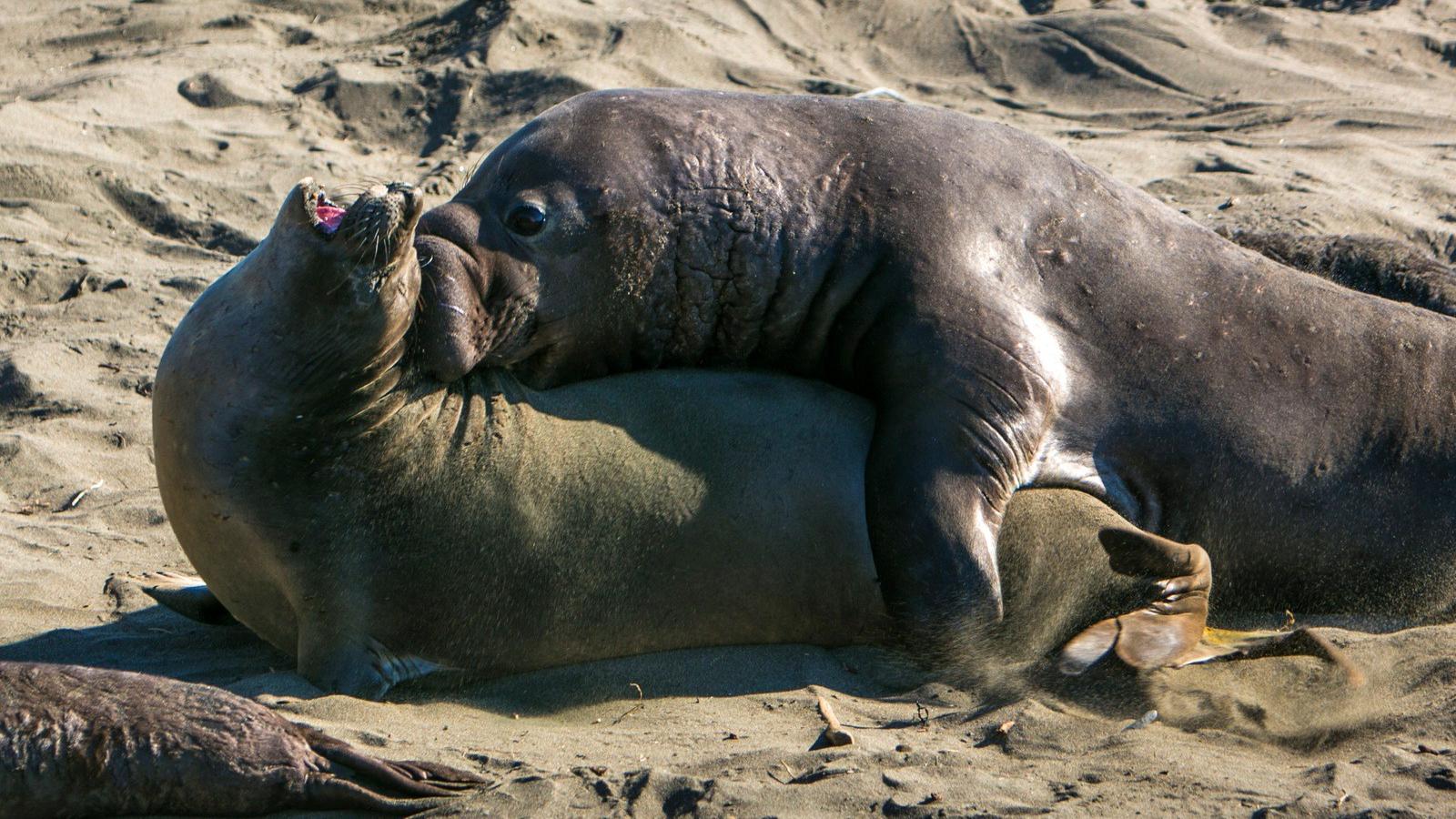 Fotók: George Rose/Getty Images