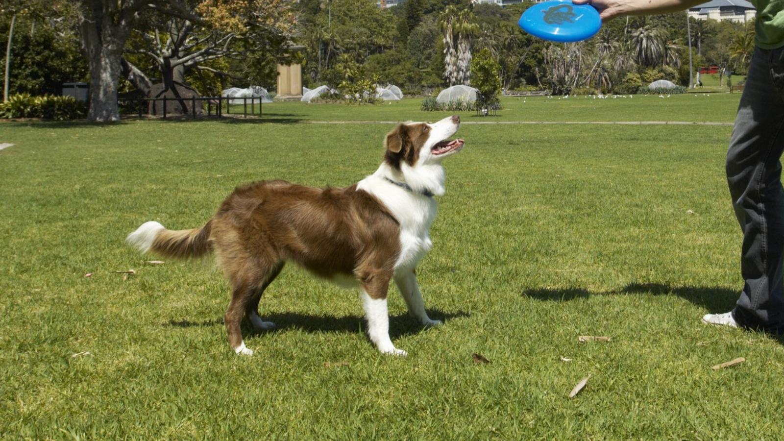 Illusztráció/Thinkstock