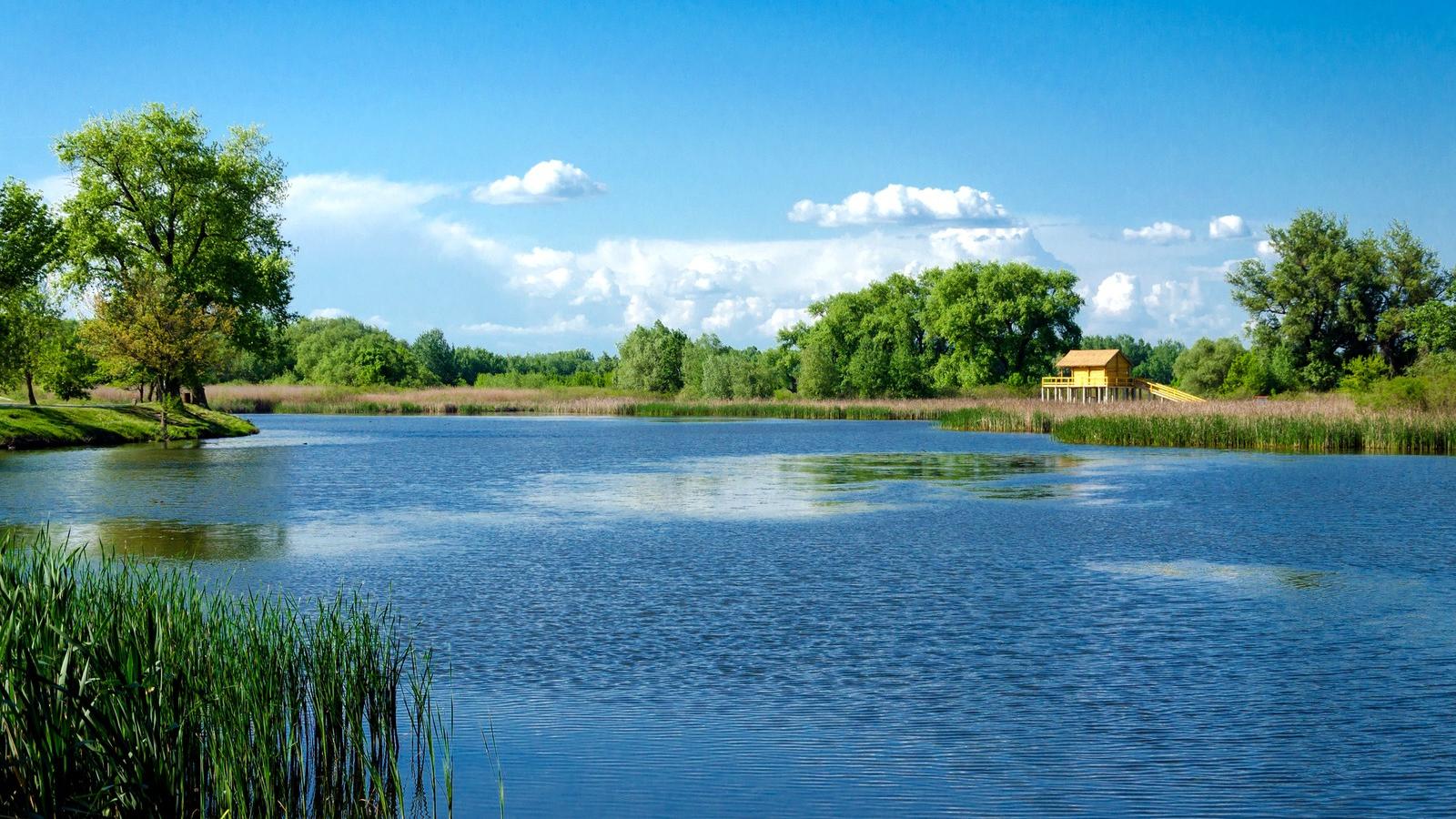 A Tisza/Thinkstock