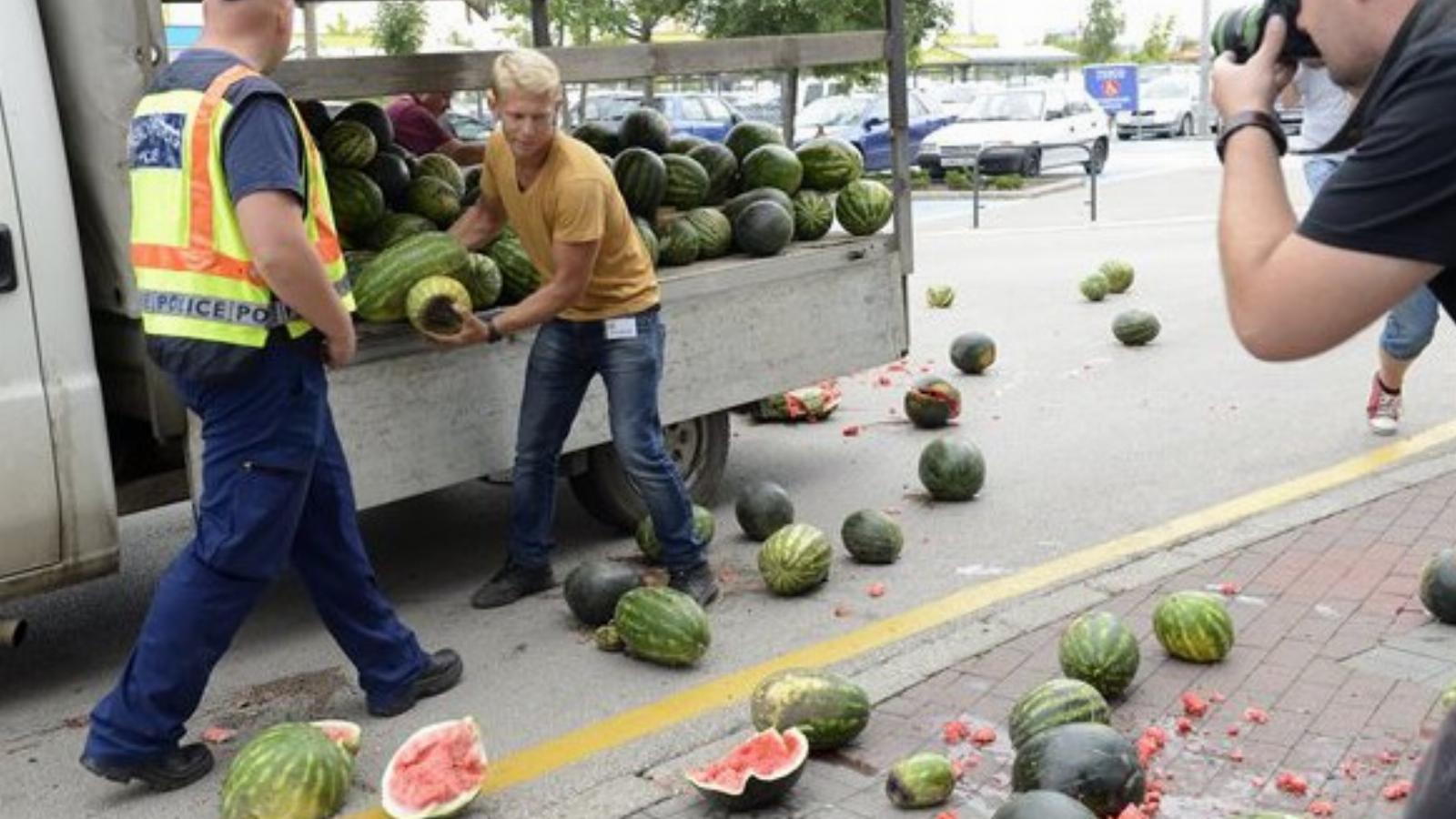  Egy termelő dinnyét dobál a Tesco budaörsi hipermarketje elé MTI Fotók: Soós Lajos