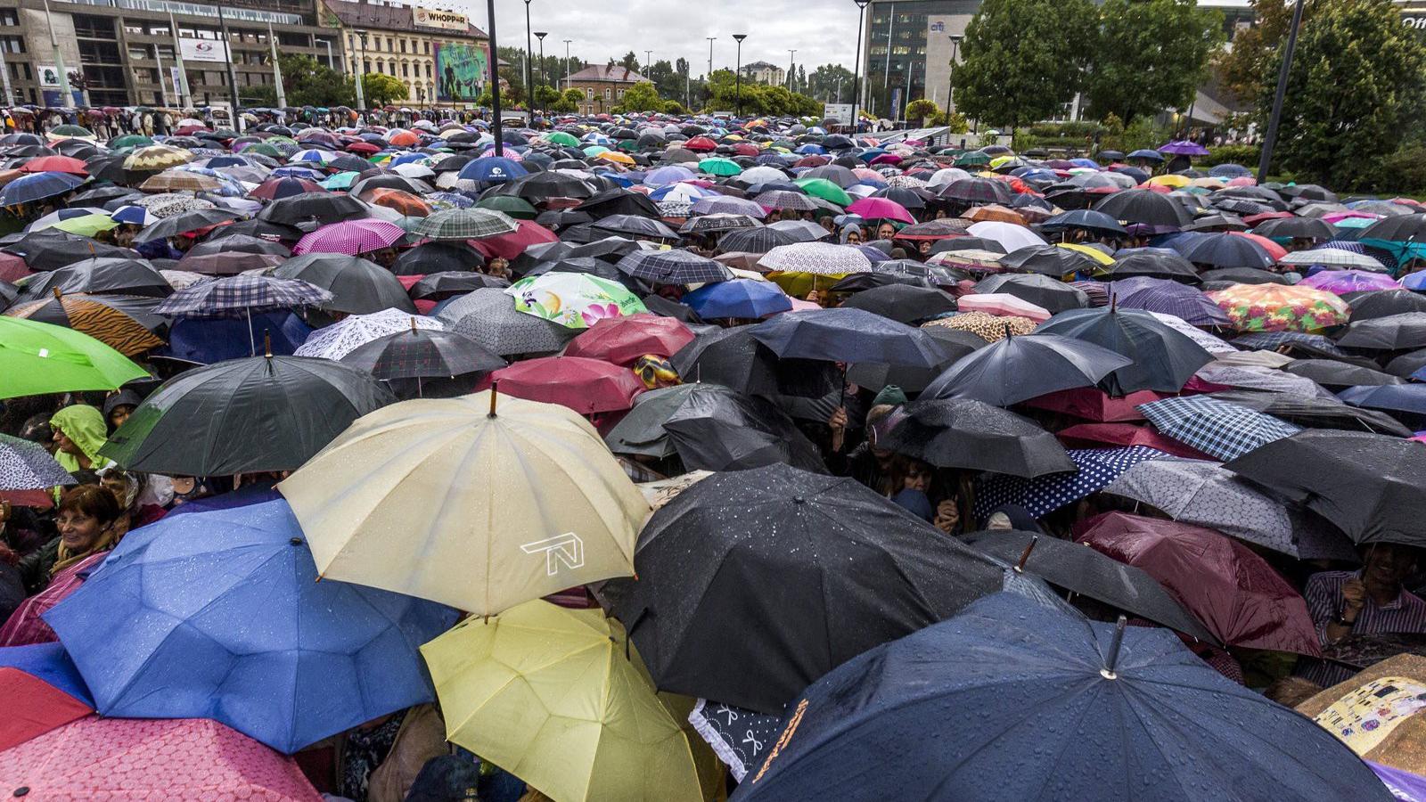  Fotó: MTI/ Szigetváry Zsolt