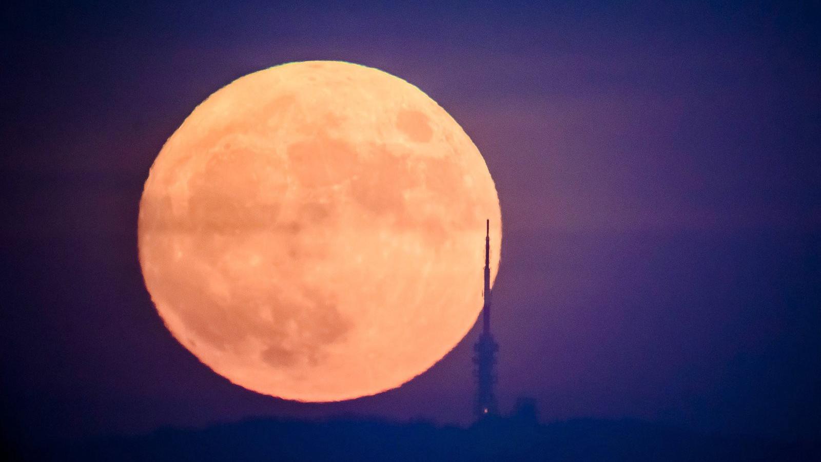 MTI Fotók: Komka Péter