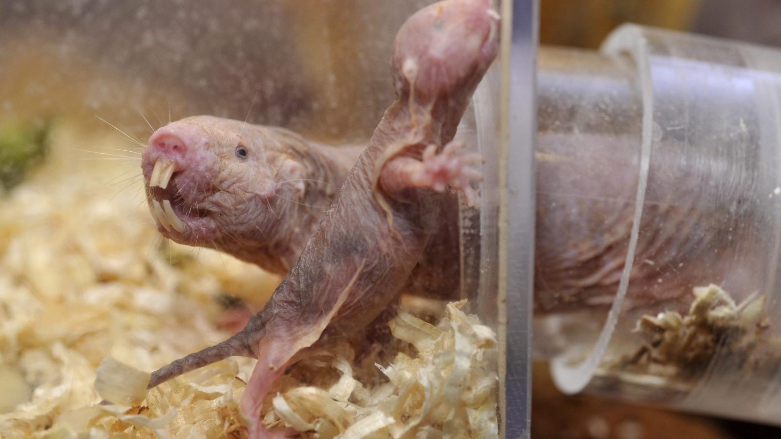 MTI Fotó: Kovács Attila