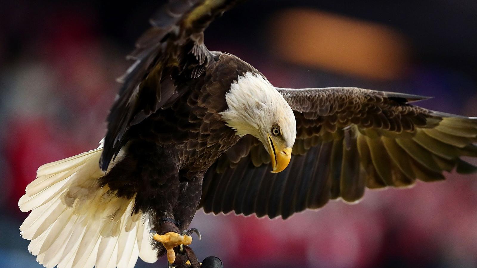 Illusztráció - Fotó: Tomm Pennington/Getty Images 