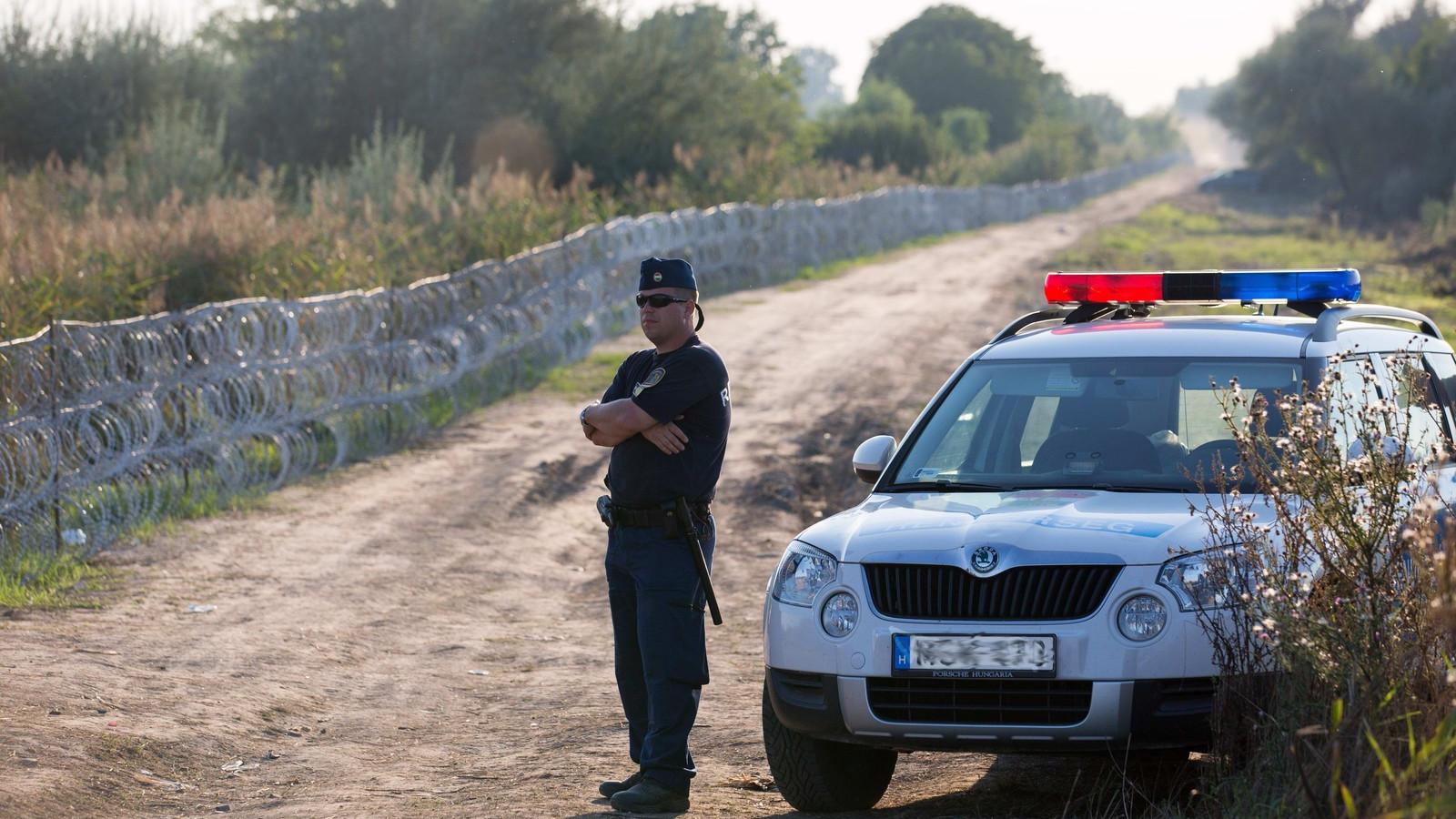 Őrszem a déli határon - Fotó: Matt Cardy/Getty Images