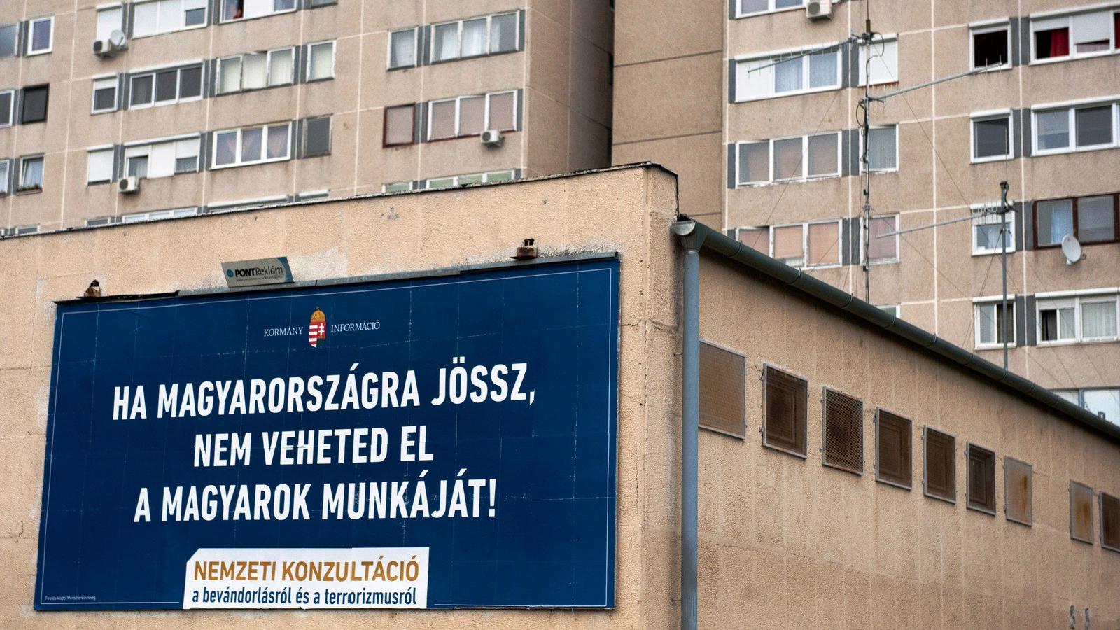 A "Ha Magyarországra jössz" szlogenű kampány egyik gyártója a nyertes FOTÓ: Tóth Gergő/Népszava