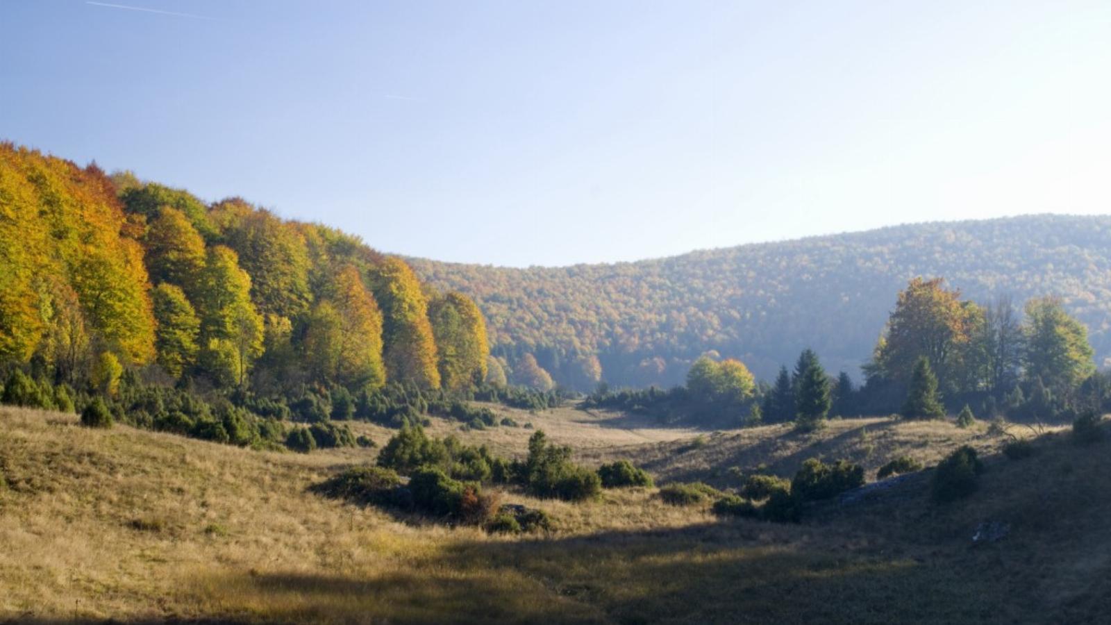 A Bükki Nemzeti Park területén is gyanús földhasználati ügyek történtek FOTÓ: EUROPRESS/THINKSTOCK