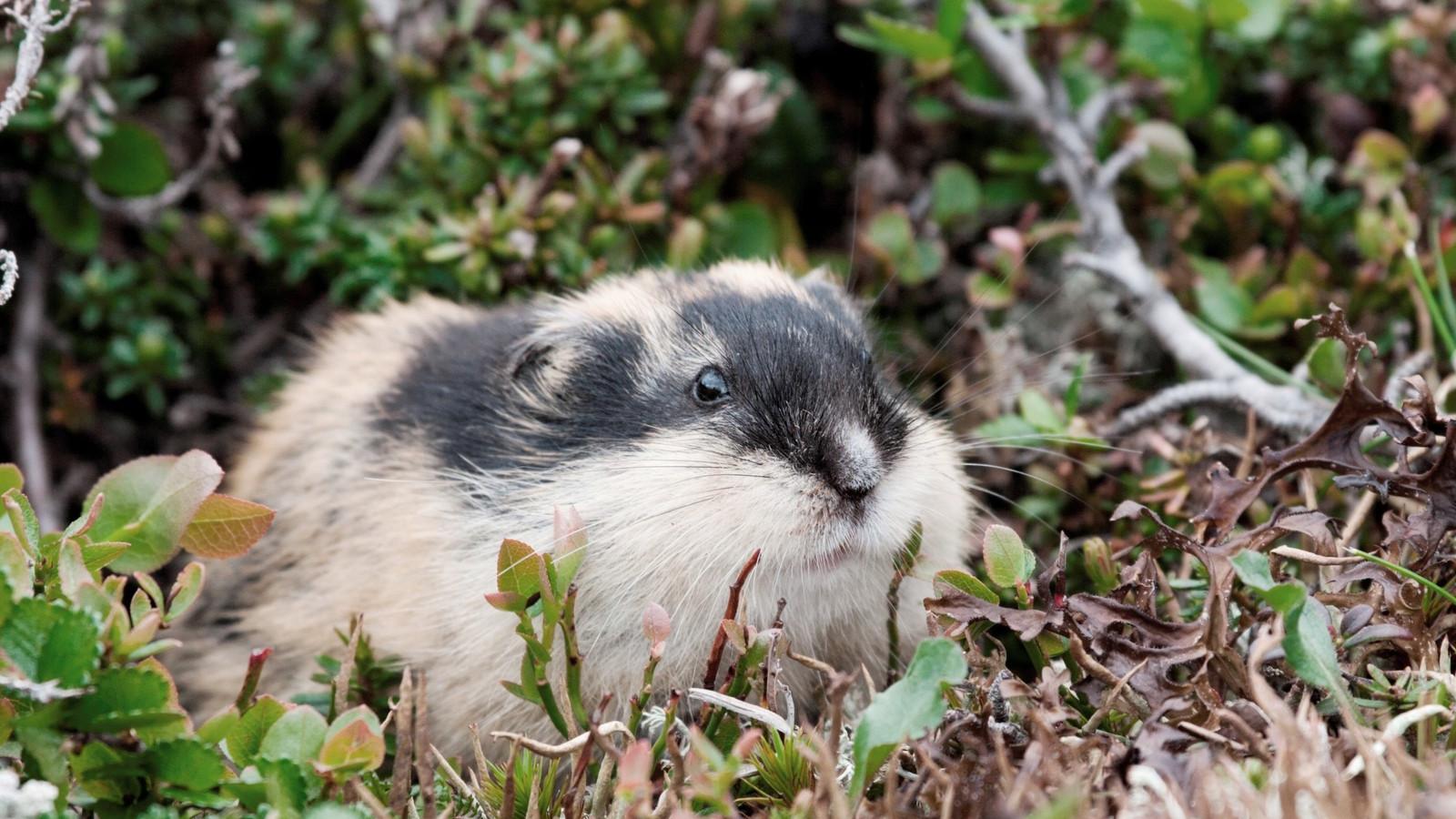 Thinkstock illusztrációk