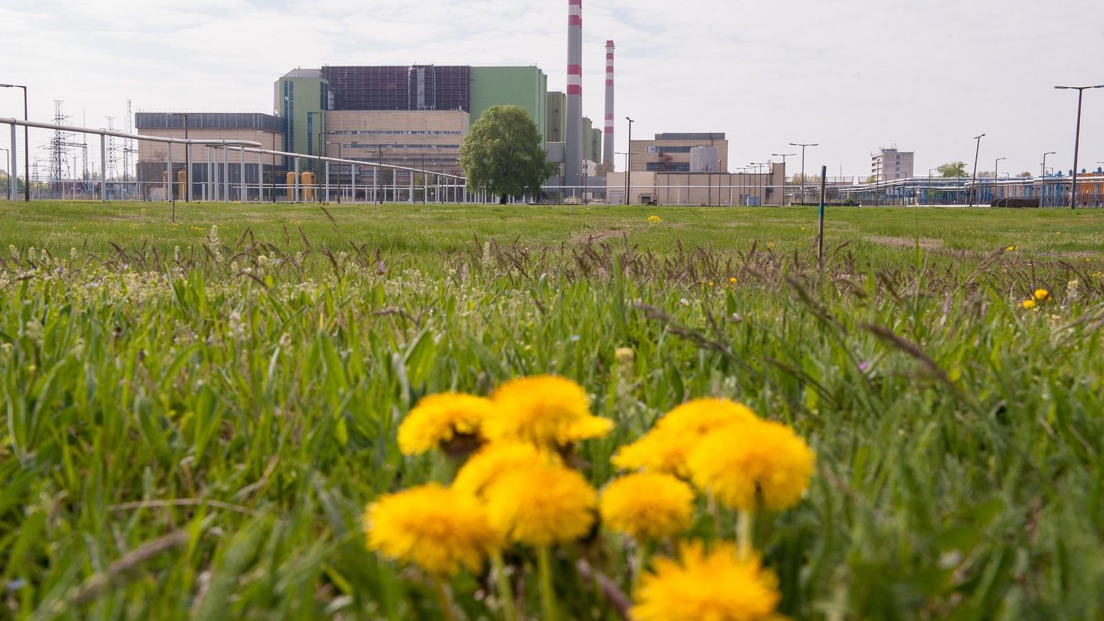 A Greenpeace-nél attól tartanak, hogy a bővítés farvizén egy „mini csúcsminisztériumot” hoznak létre FOTÓ: MOLNÁR ÁDÁM