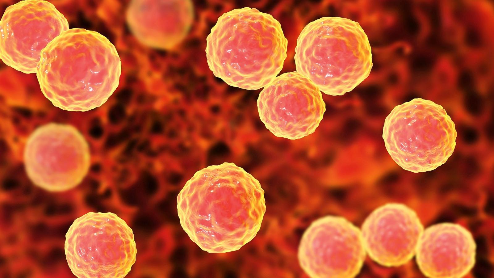 Enterococcus baktérium Illusztráció: Thinkstock