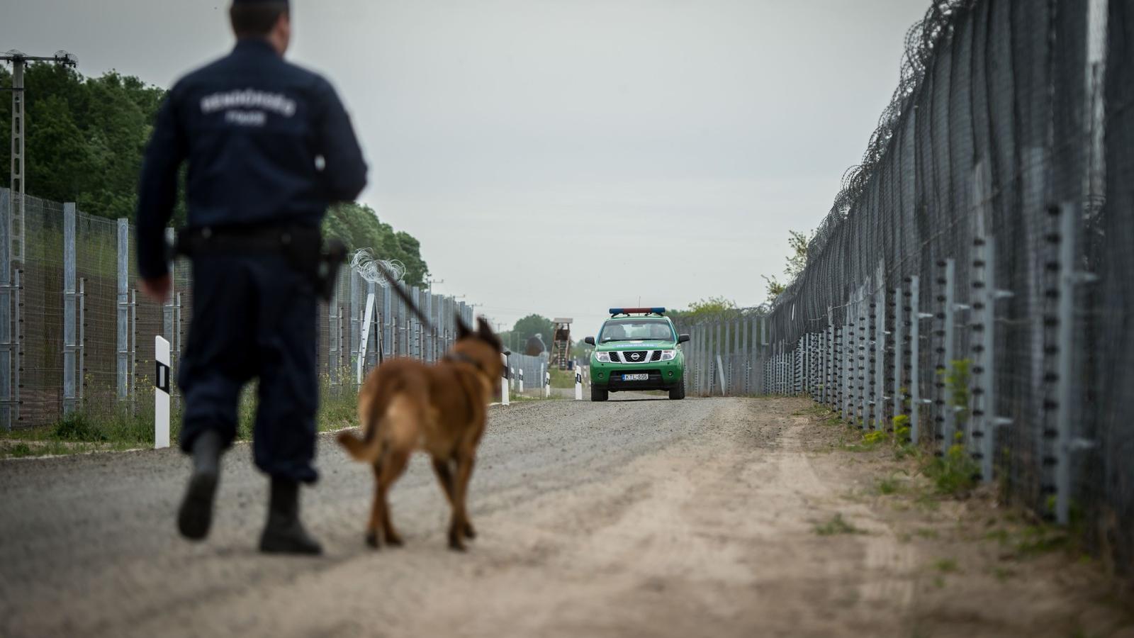 Röszkén - AFP fotók