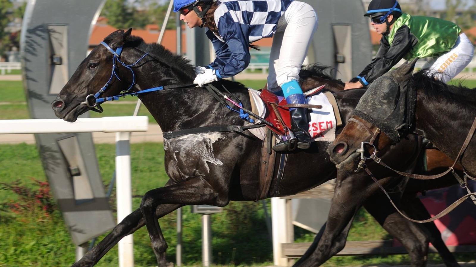 Forrás: Facebook, Suták Csenge oldala